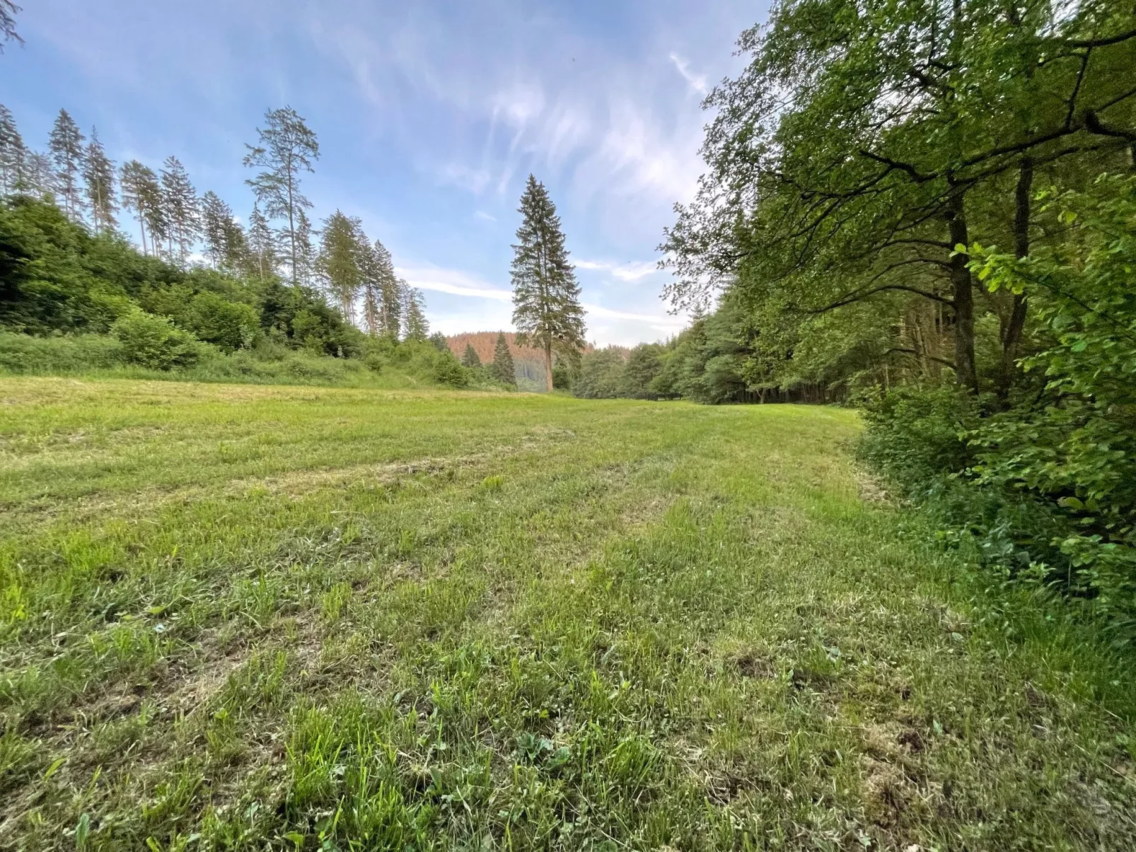 Renovierte Wohnung in Schwalefeld mit Garten, Terrasse und Grill - Image-tags.info