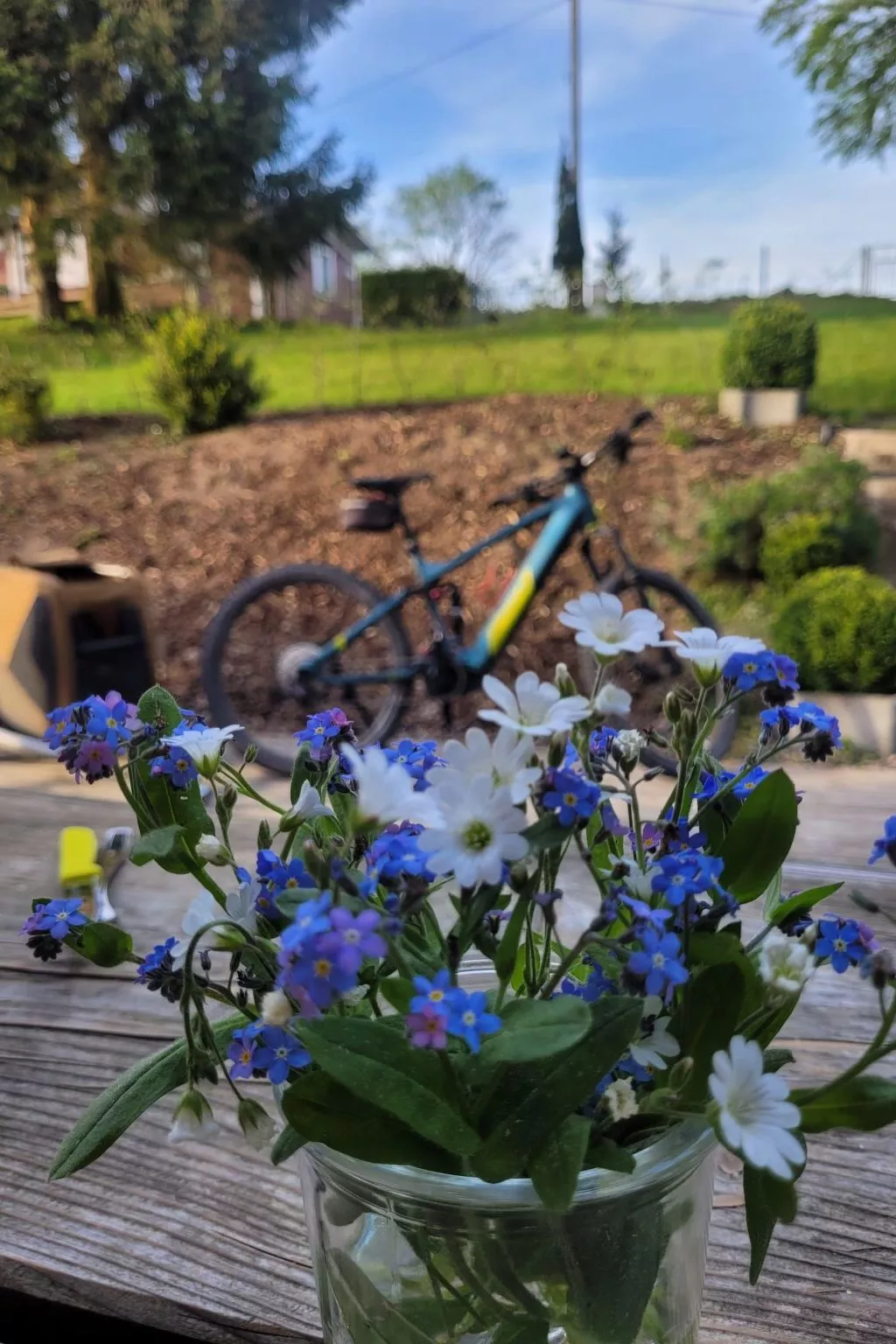 Haus Schneekopf - Image-tags.info