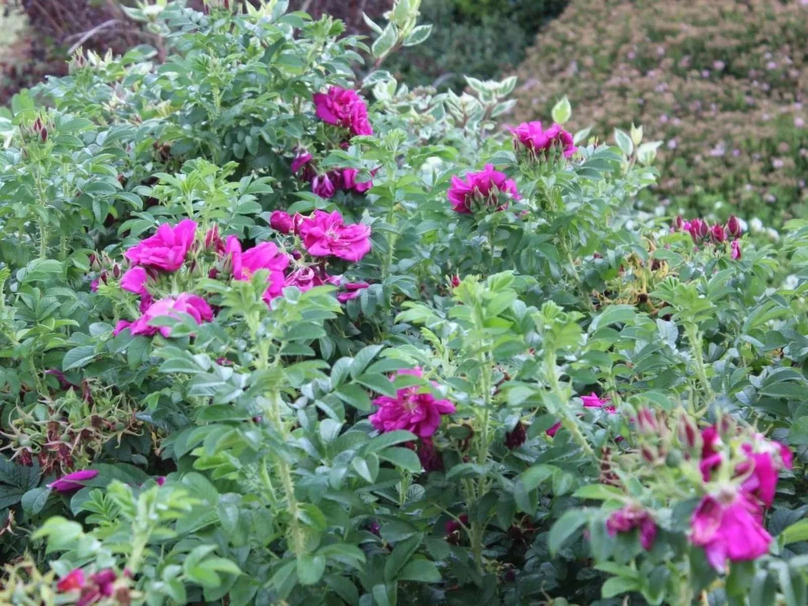 Appartement in Mastershausen mit Terrasse, Garten und Grill - Image-tags.info