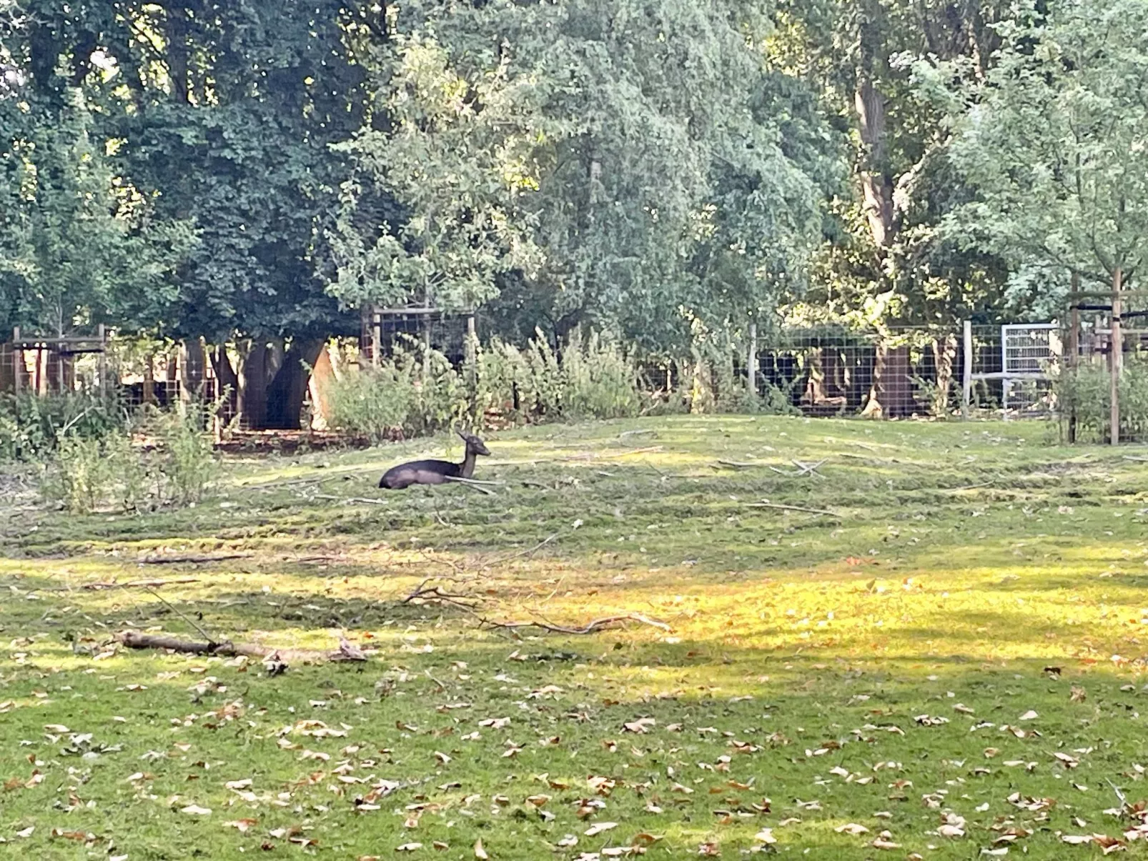 Stadt-Oase - Kliniken, Bali-T., GOP, Parkplatz , Netflix - Image-tags.info