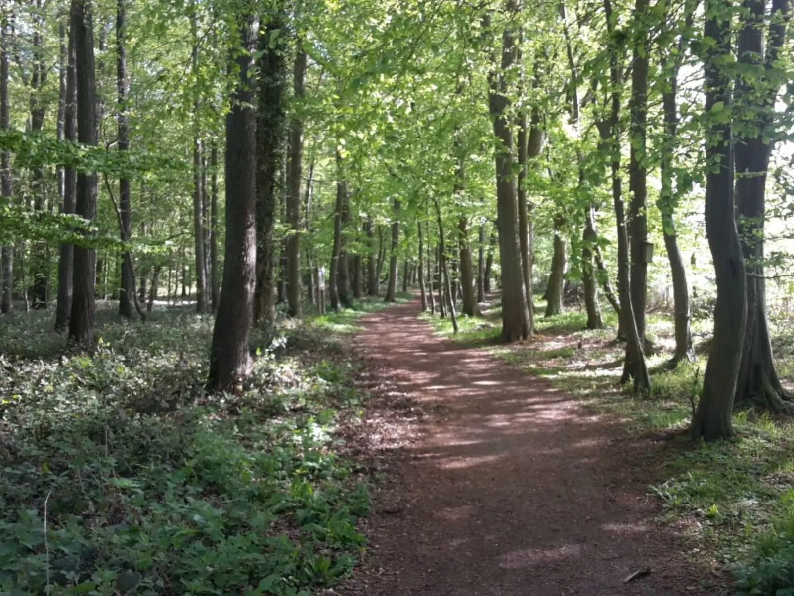 Kamin Chalet 6 - Image-tags.info