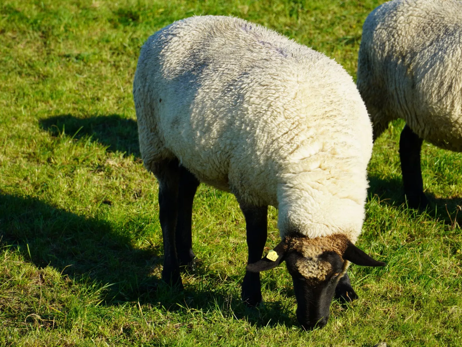 Haus Sternenstrand - Image-tags.info