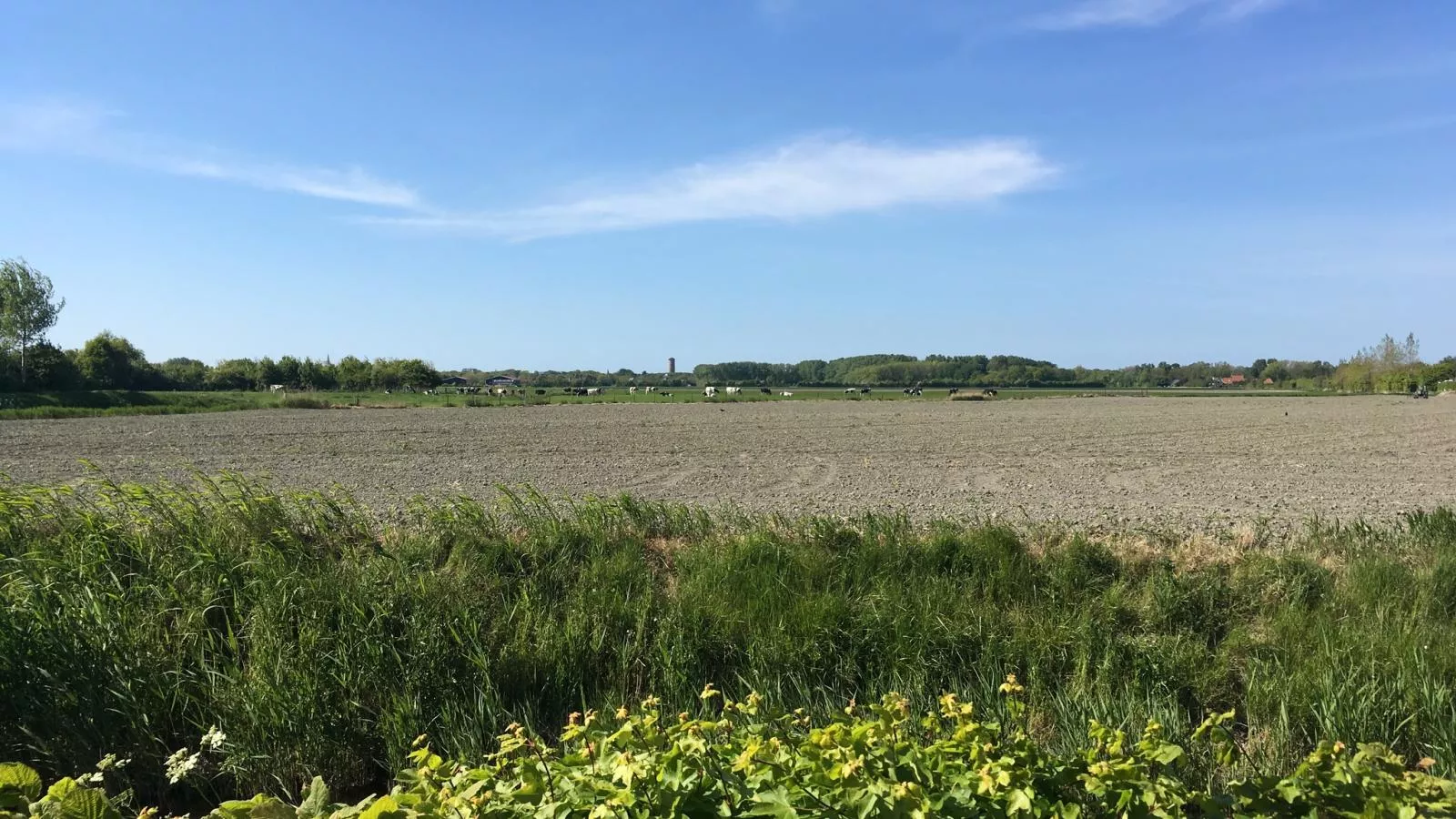 De Zomerbij - Areas within 1km in summer