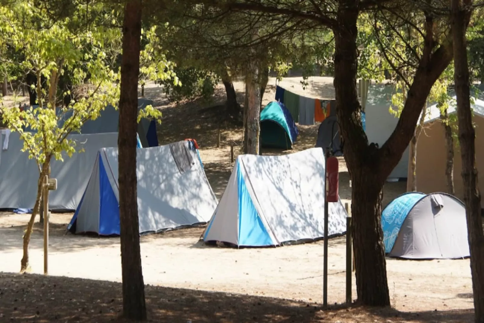 Villa Russie - Domaine Le Sherwood-Exterior in summer
