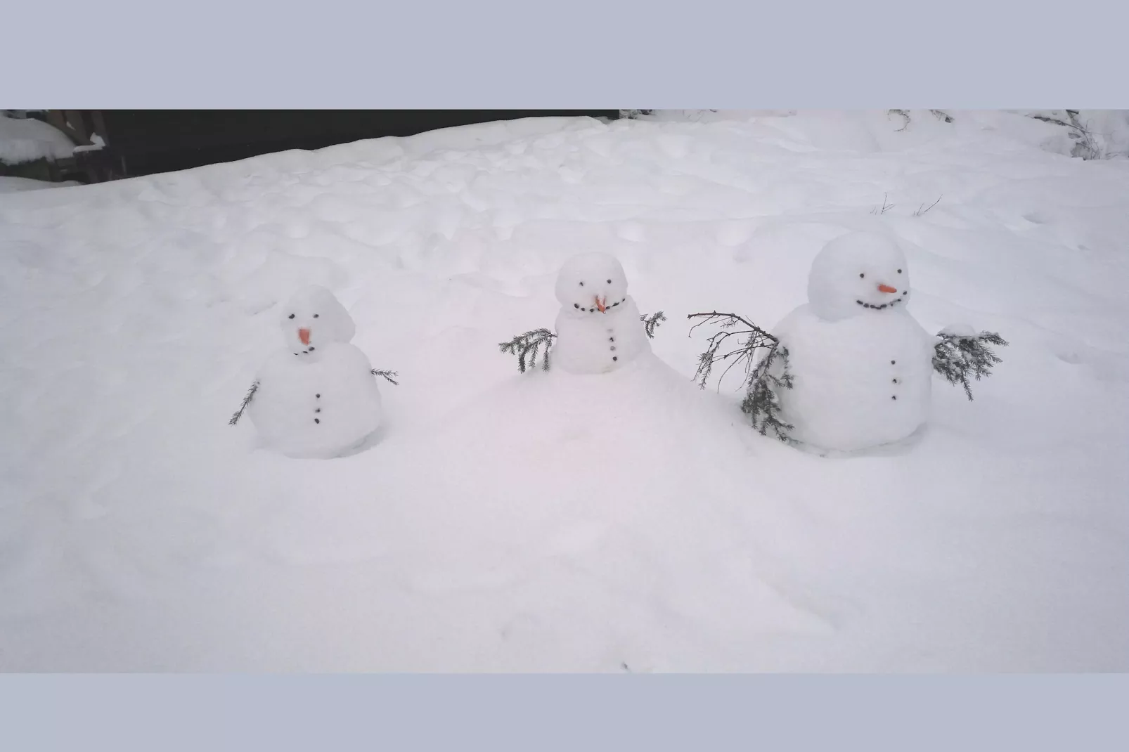 Murmeltier-Garten Winter