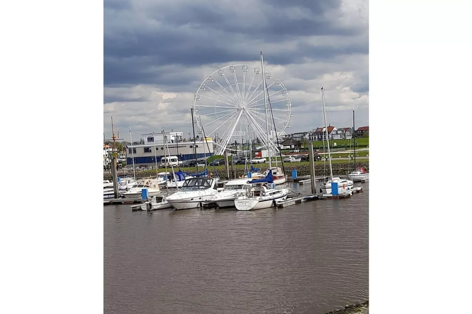 55576-Areas within 1km in summer