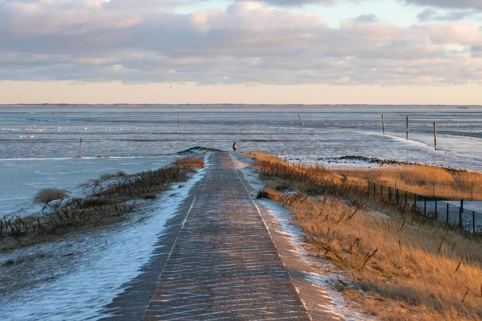 389318-Areas within 5km in summer