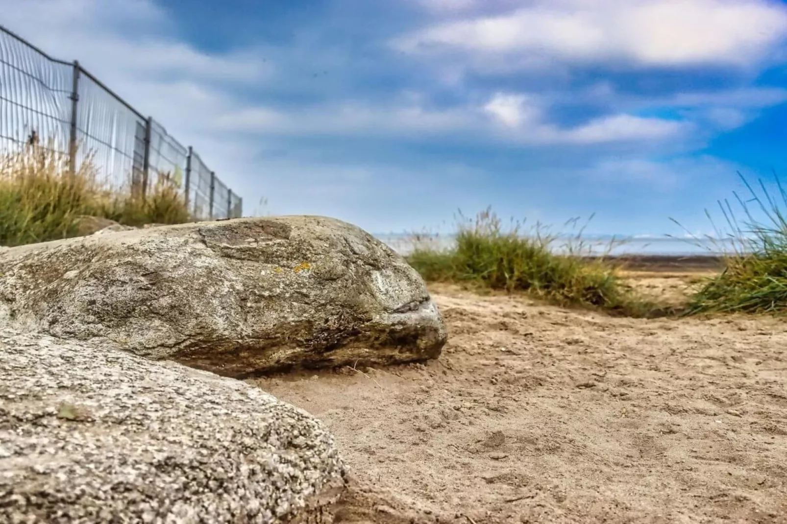 352708-Zones été à 5 km