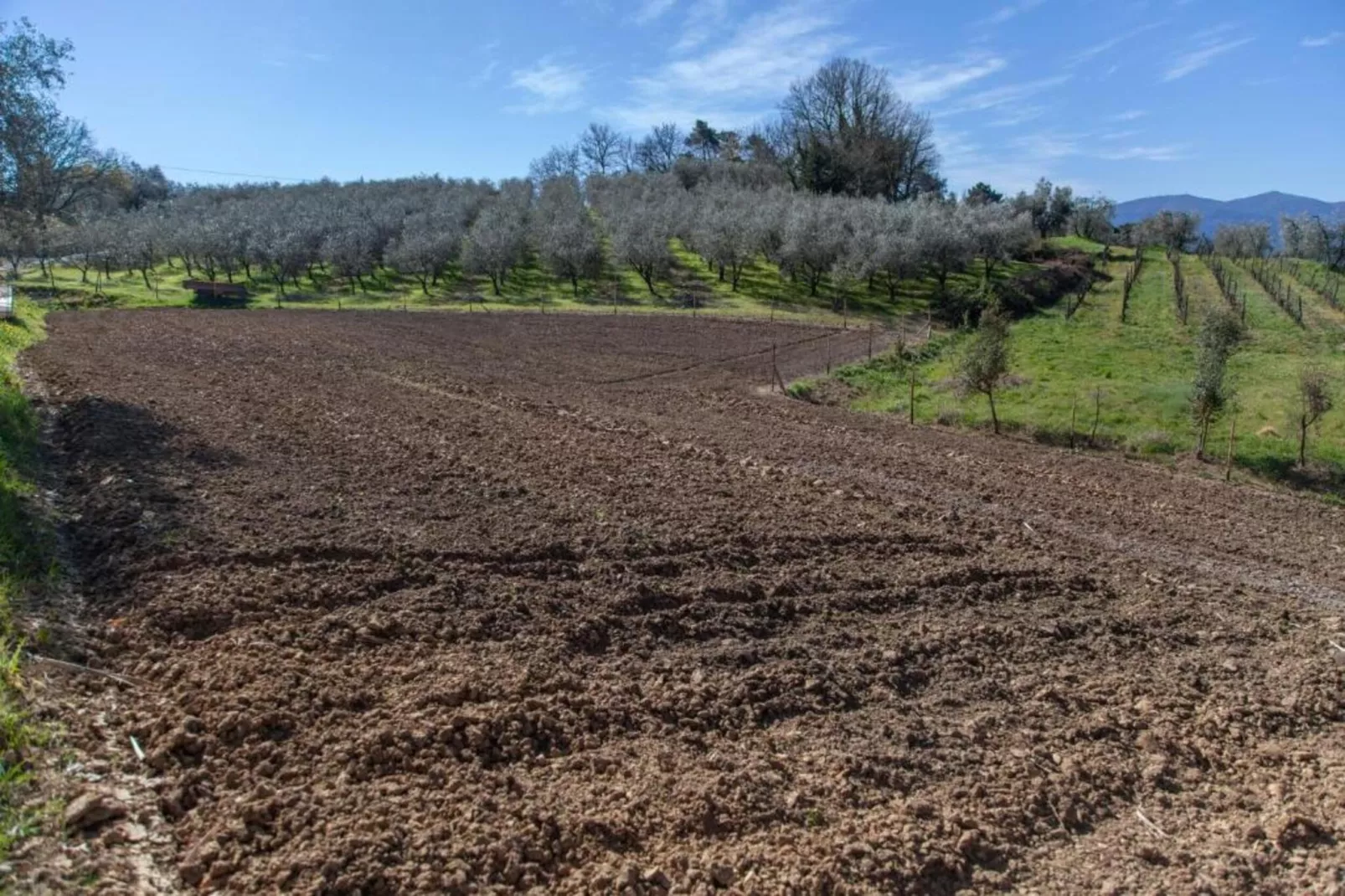 Aria di Lucca-Gebiete Sommer 20 km