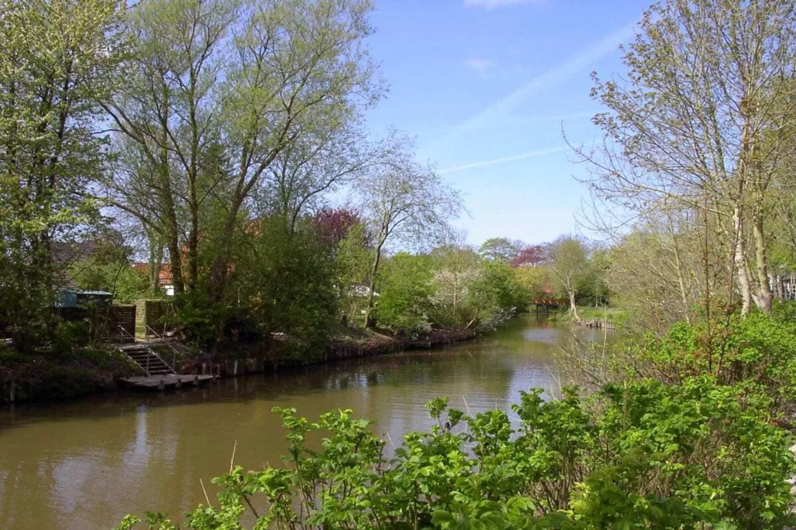 47531-Areas within 5km in summer