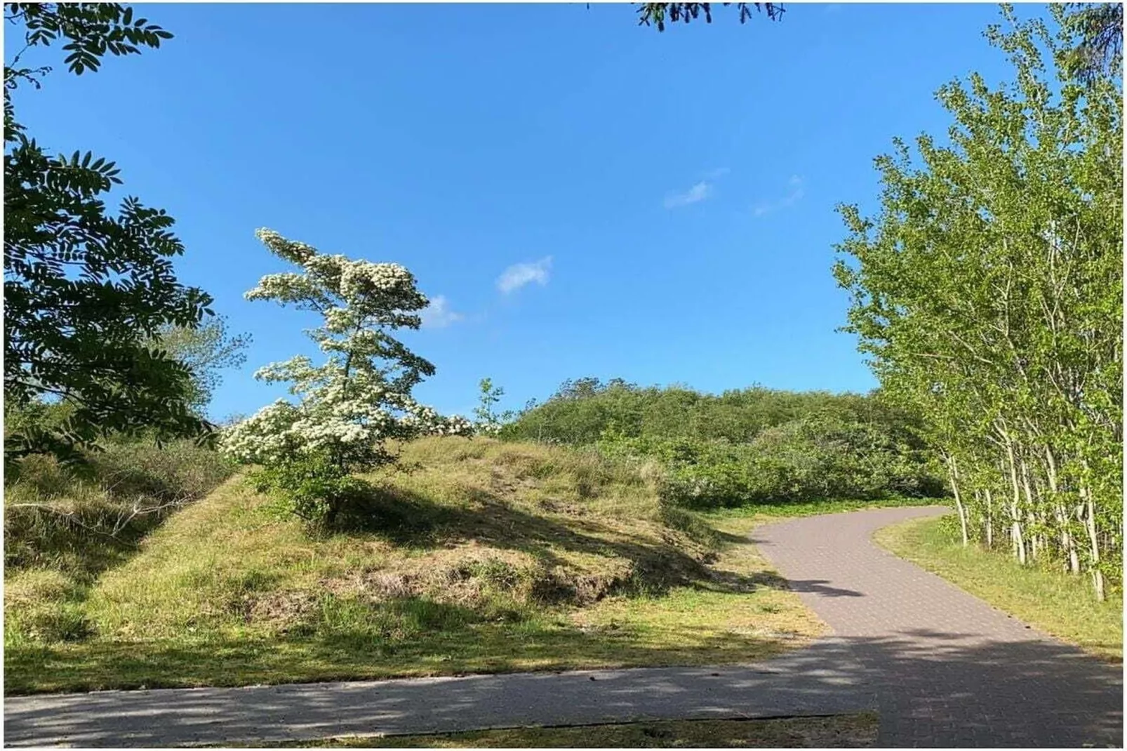 581070 - Gebiete Sommer 5 km