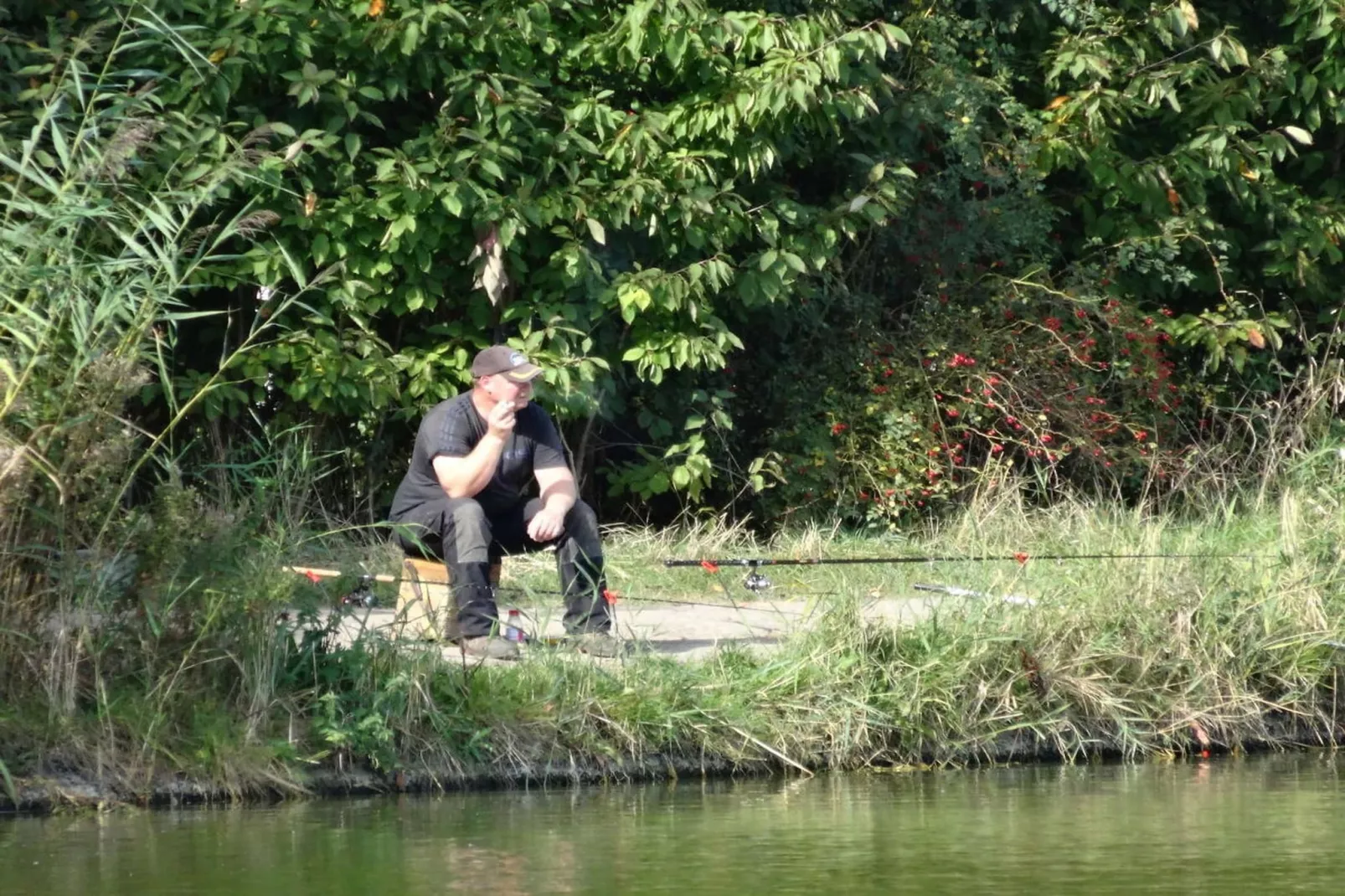 90280 - Zones été à 5 km