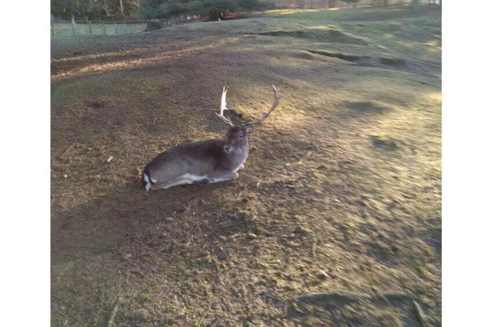 4315-Jardins en été
