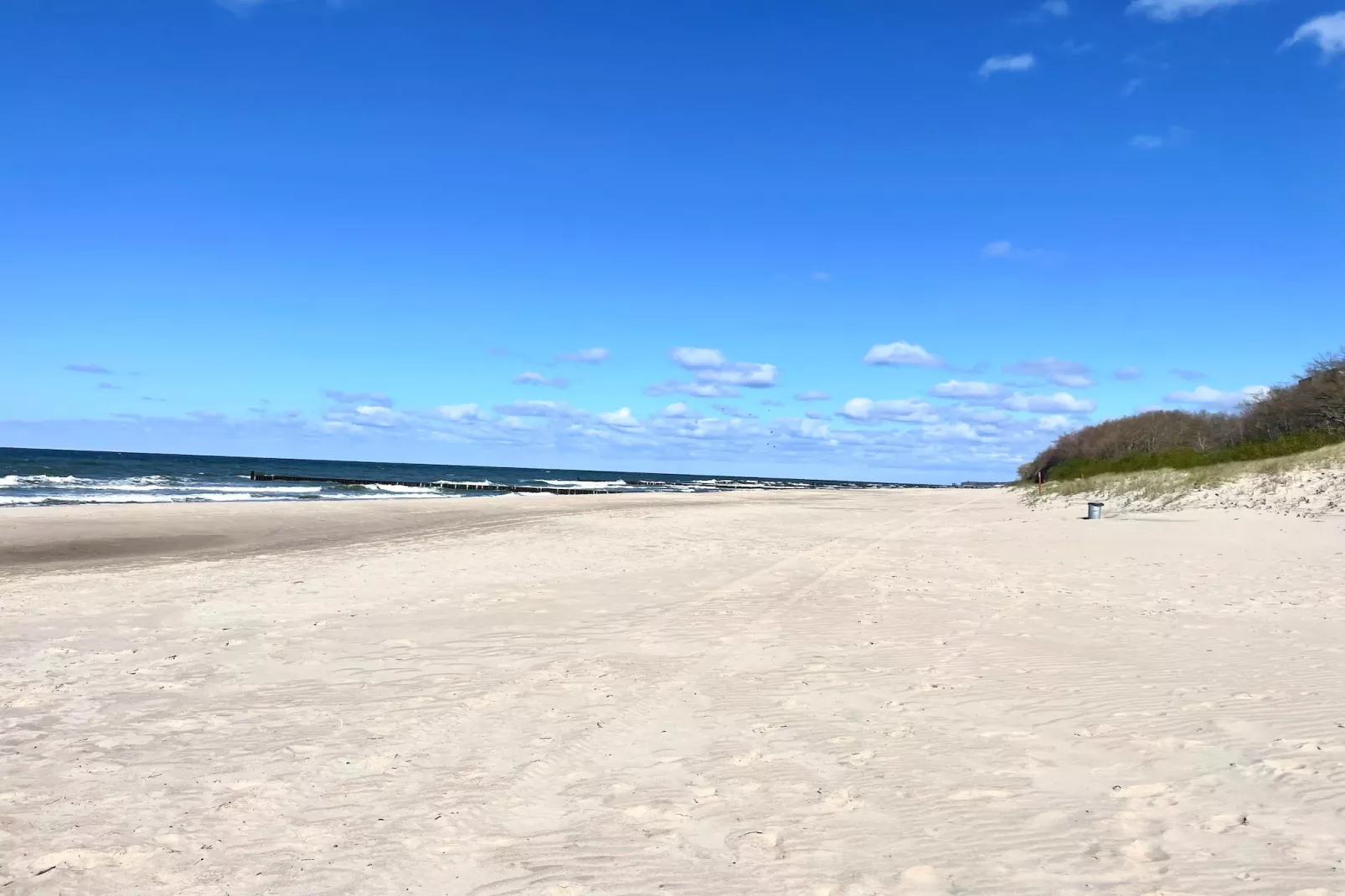 Domki 4-osobowe dla 3 osób-Areas within 1km in summer