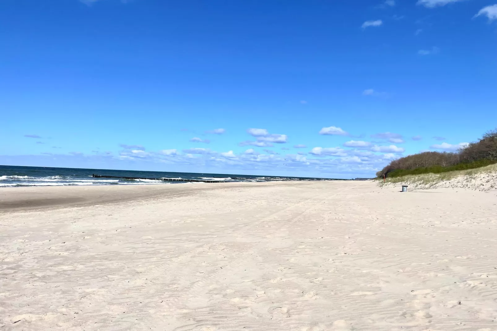 Domki 4-osobowe dla 4 osób-Areas within 1km in summer