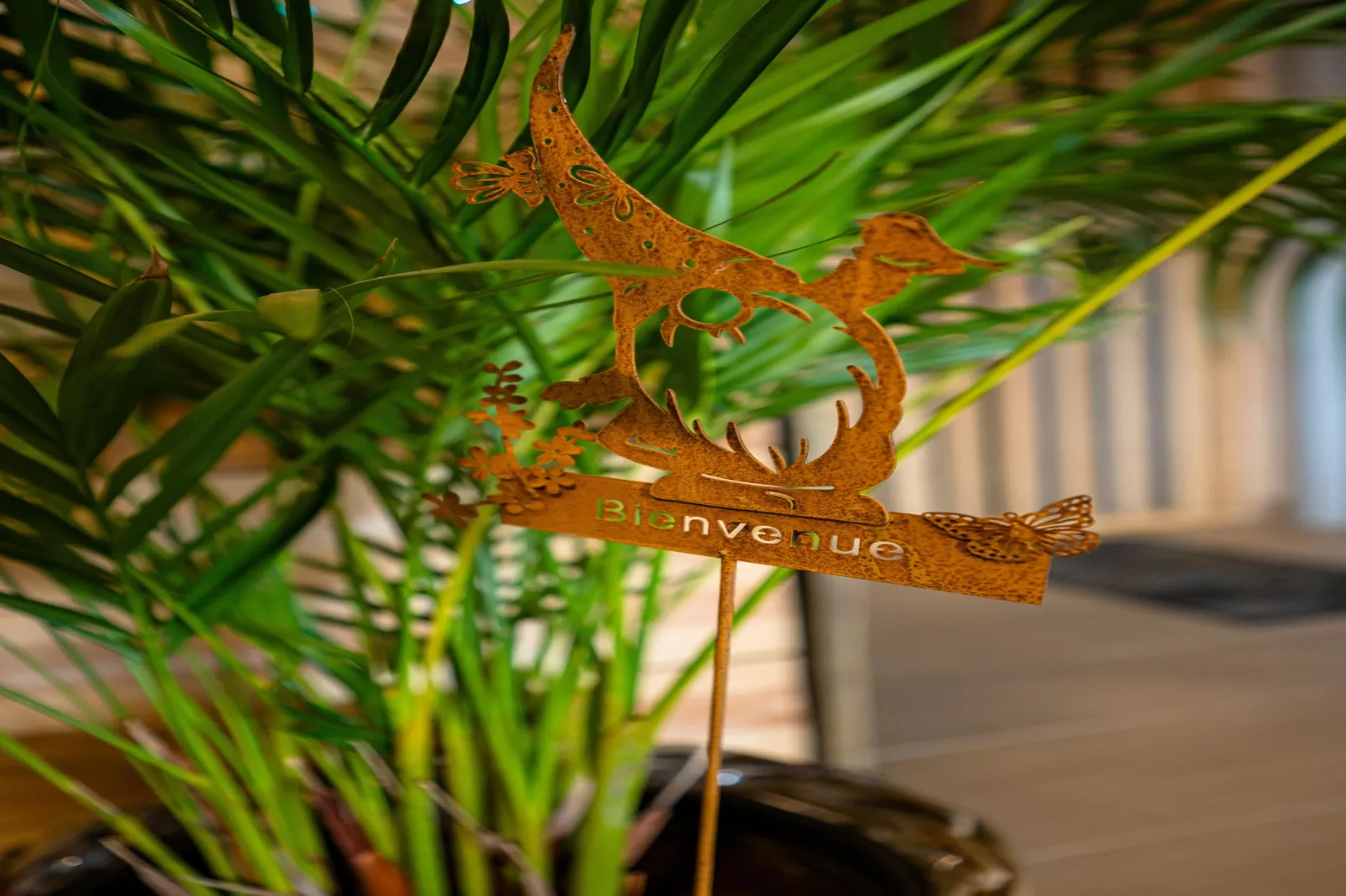 Appartement Spa Vip 2/3-Ambiance