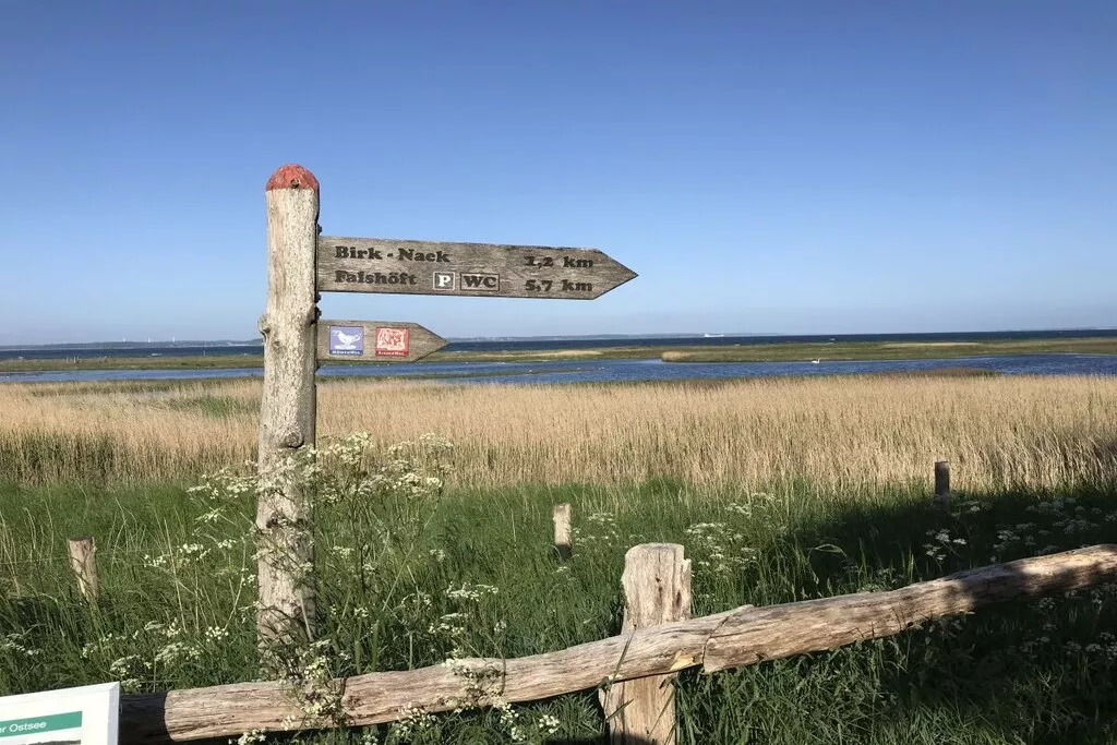 58009-Nicht zugeordnet