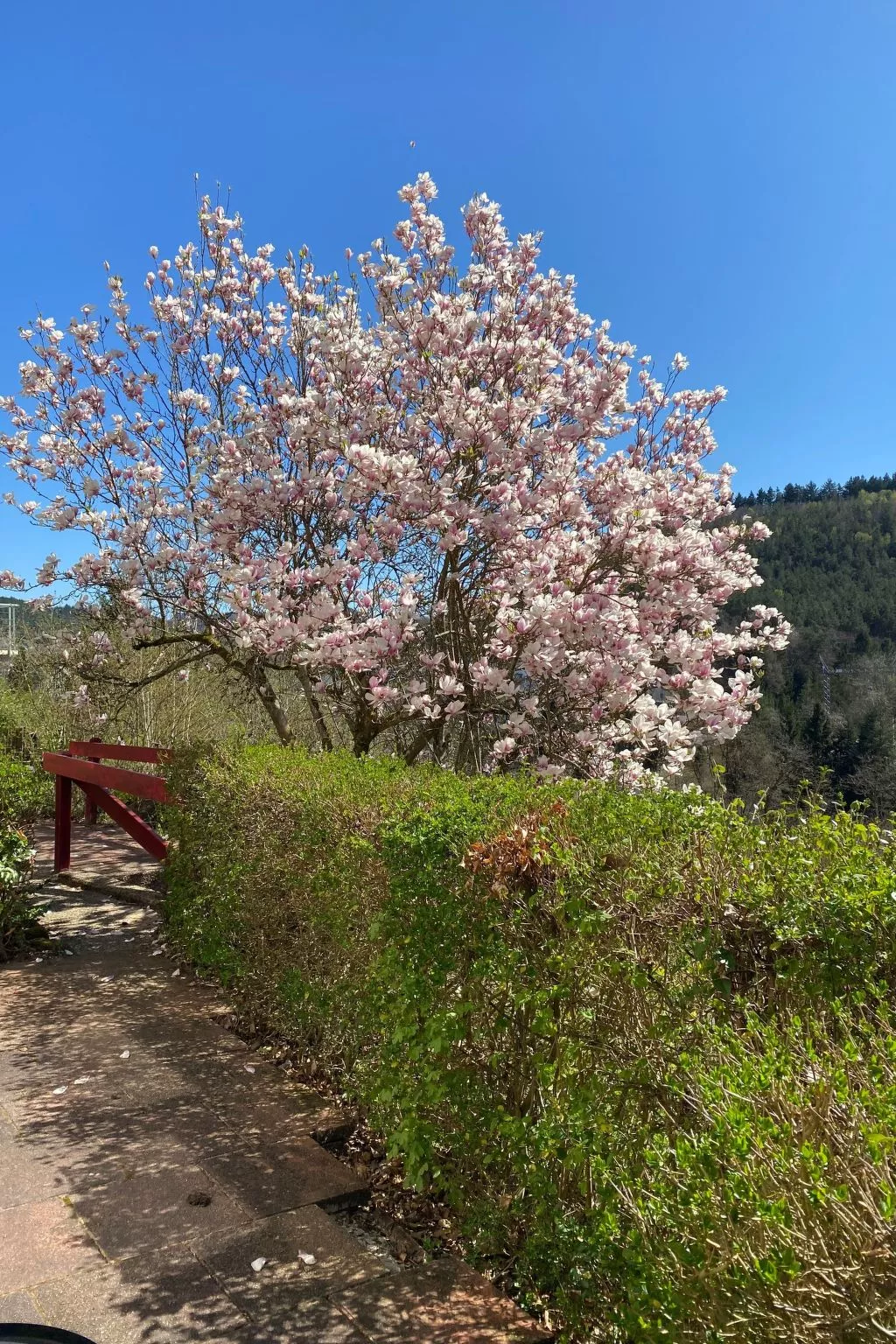 Emma - Image-tags.info