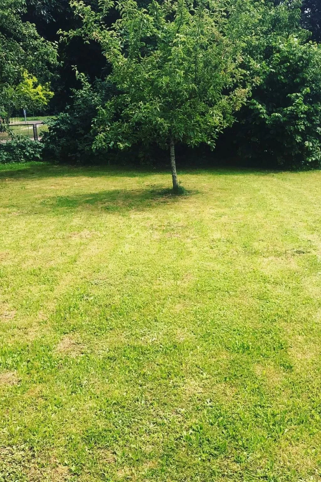 Wohnung „Sonnendeck“ - Image-tags.info