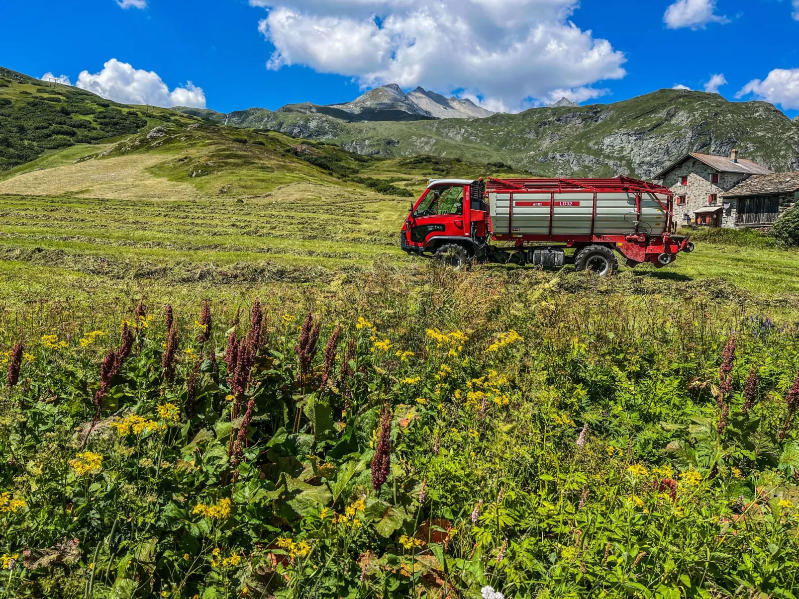 Mit Blick in die Berge - Image-tags.info