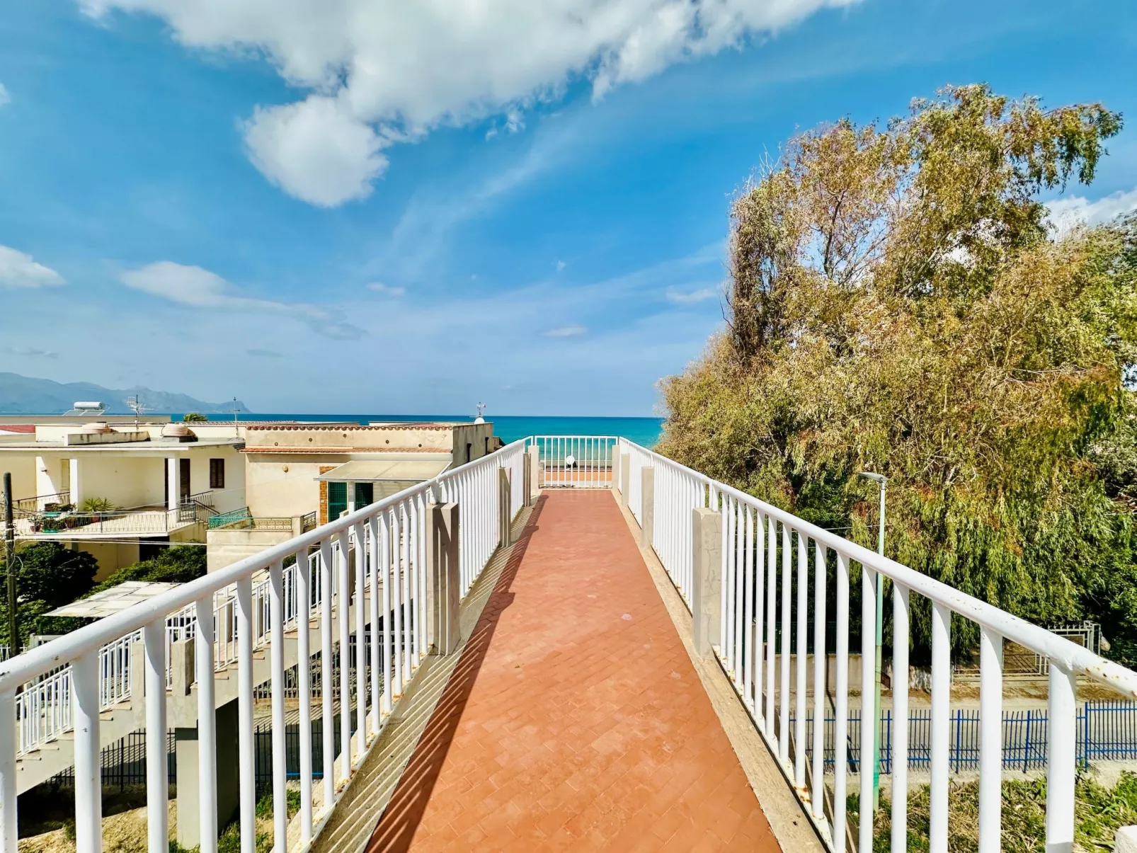 Sea Life Giulia, 200 m vom Strand entfernt - Image-tags.info