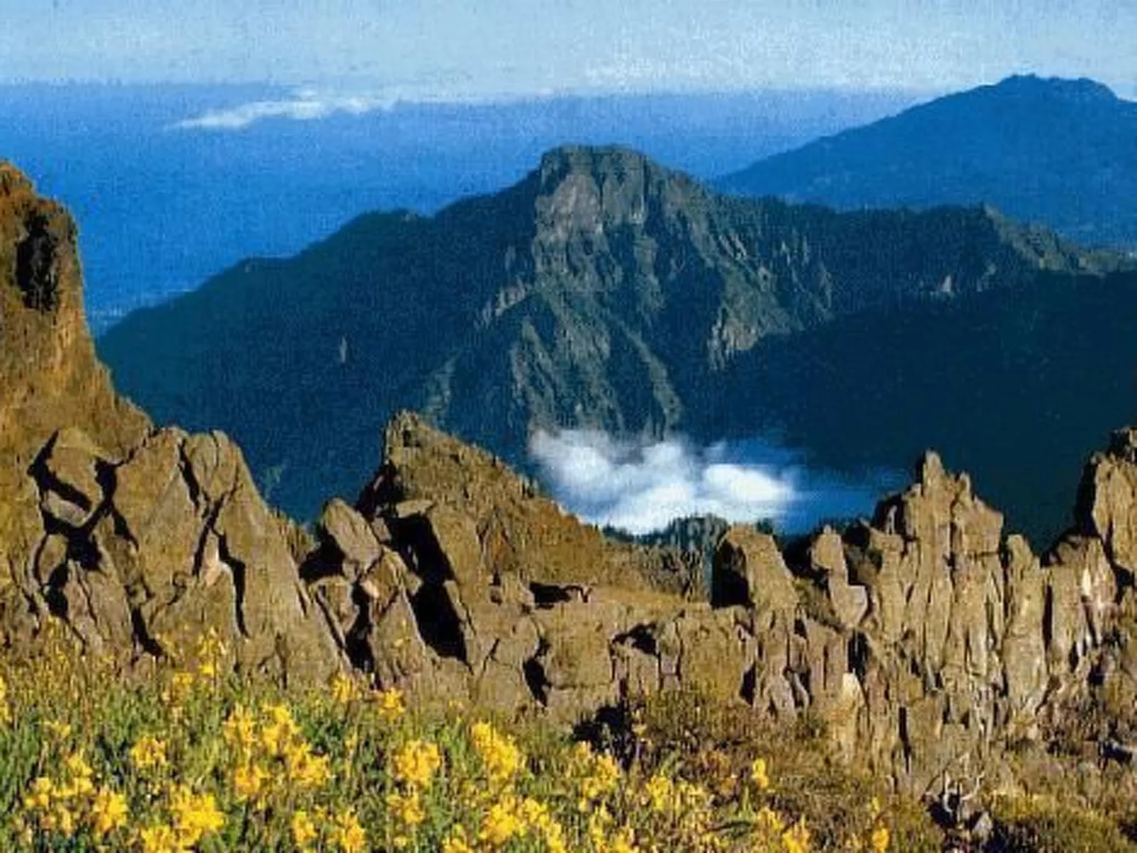 Villa Atlantico - Image-tags.info