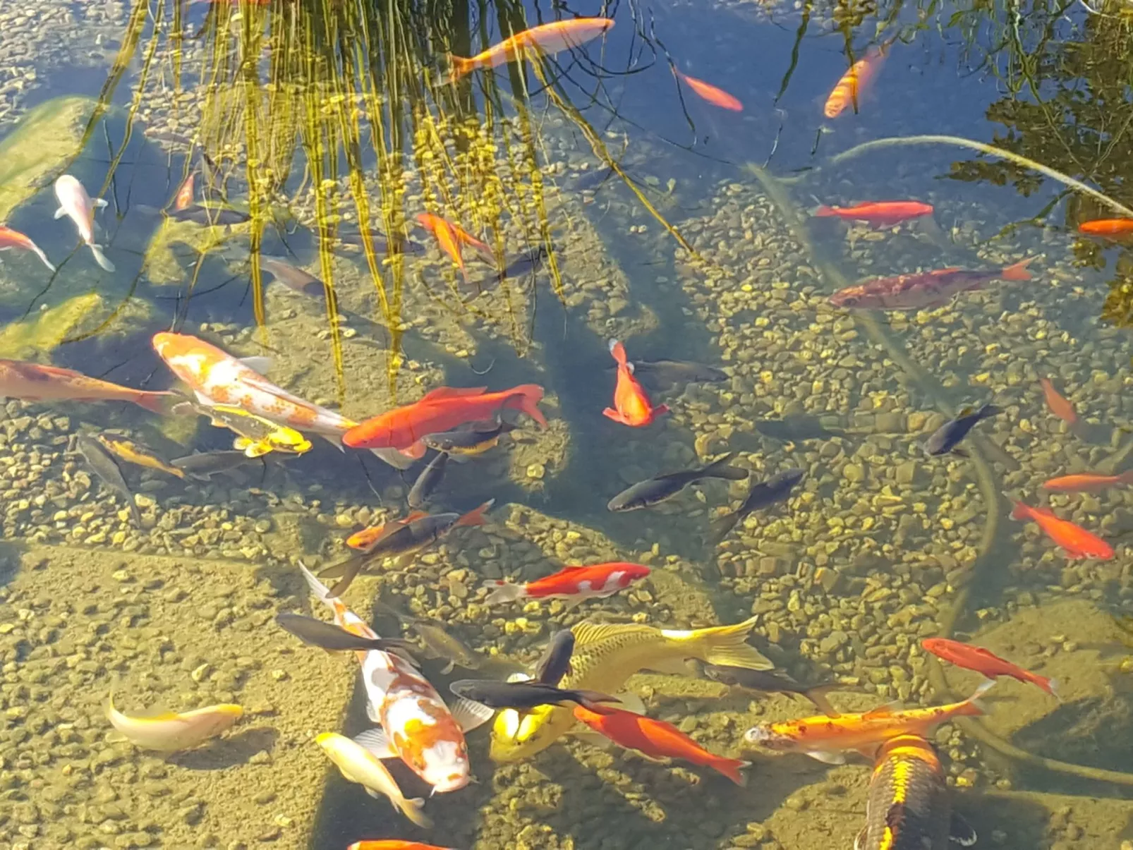 Komfortwohnung - Image-tags.info