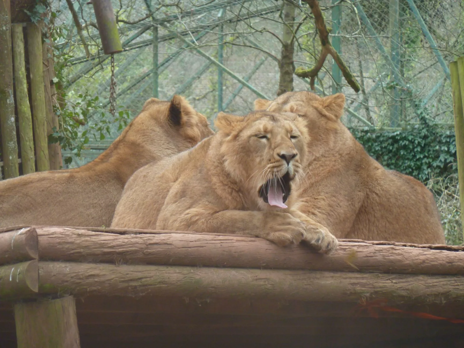 Appartement in Torquay mit Terrasse und Garten - Image-tags.info