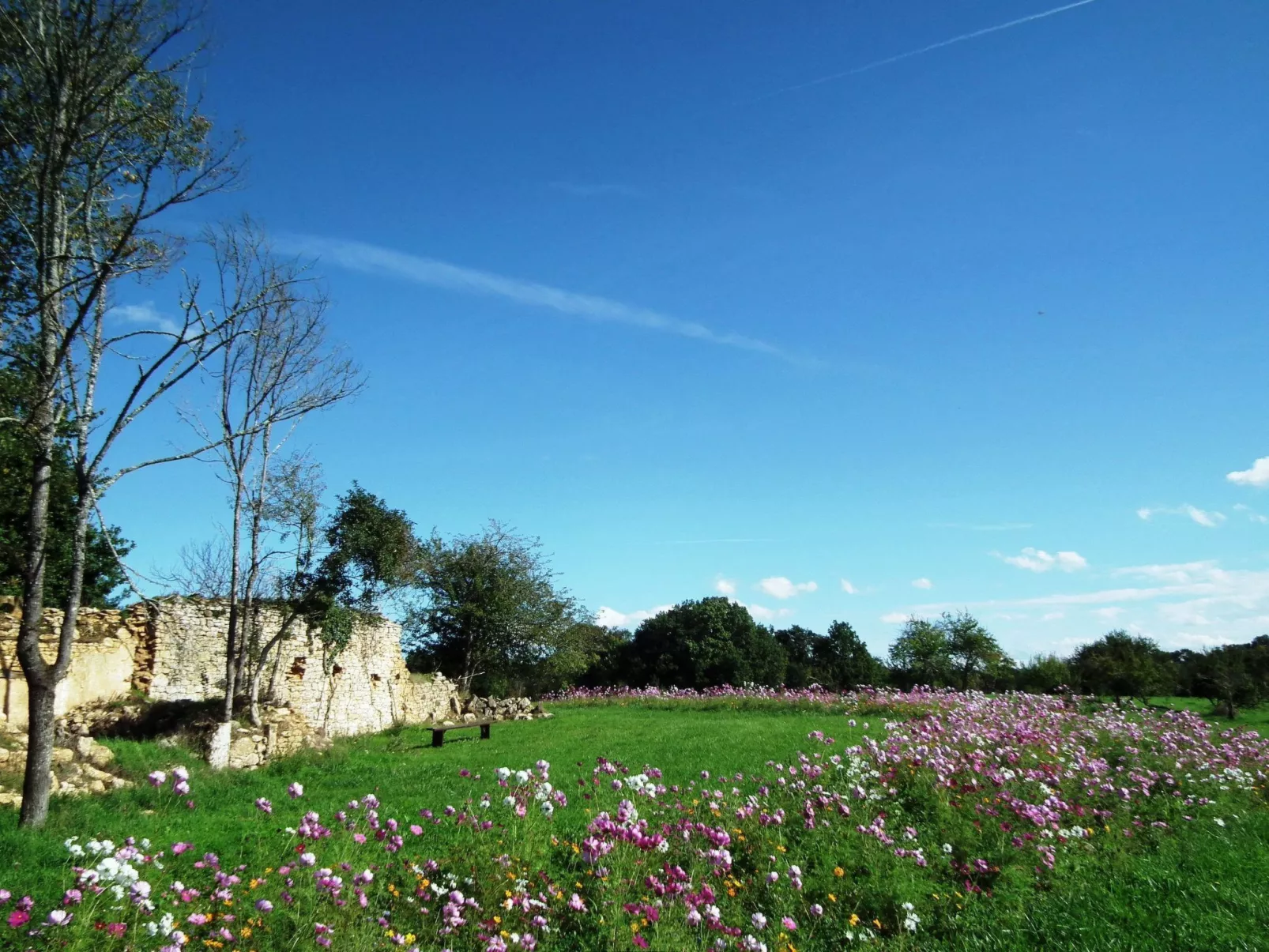Feriendorf im Périgord - Villa 6-8 pers. - Dehors