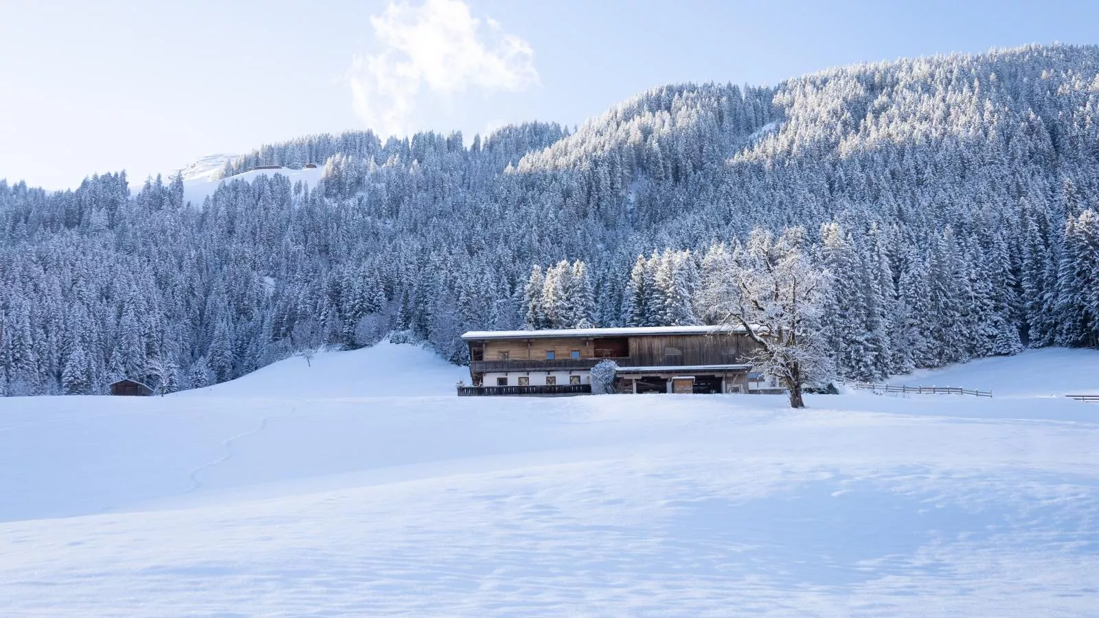 Hacklerhof Top 2 - Exterior in winter