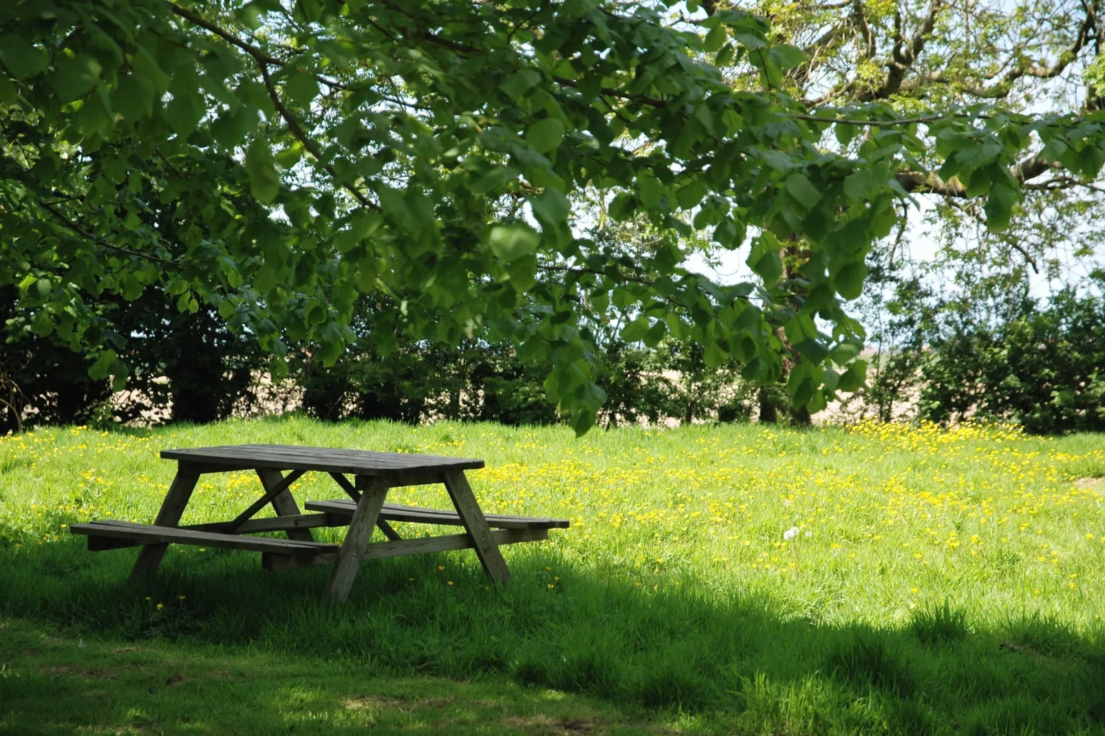 De Zoete inval - Terrasse/Balkon