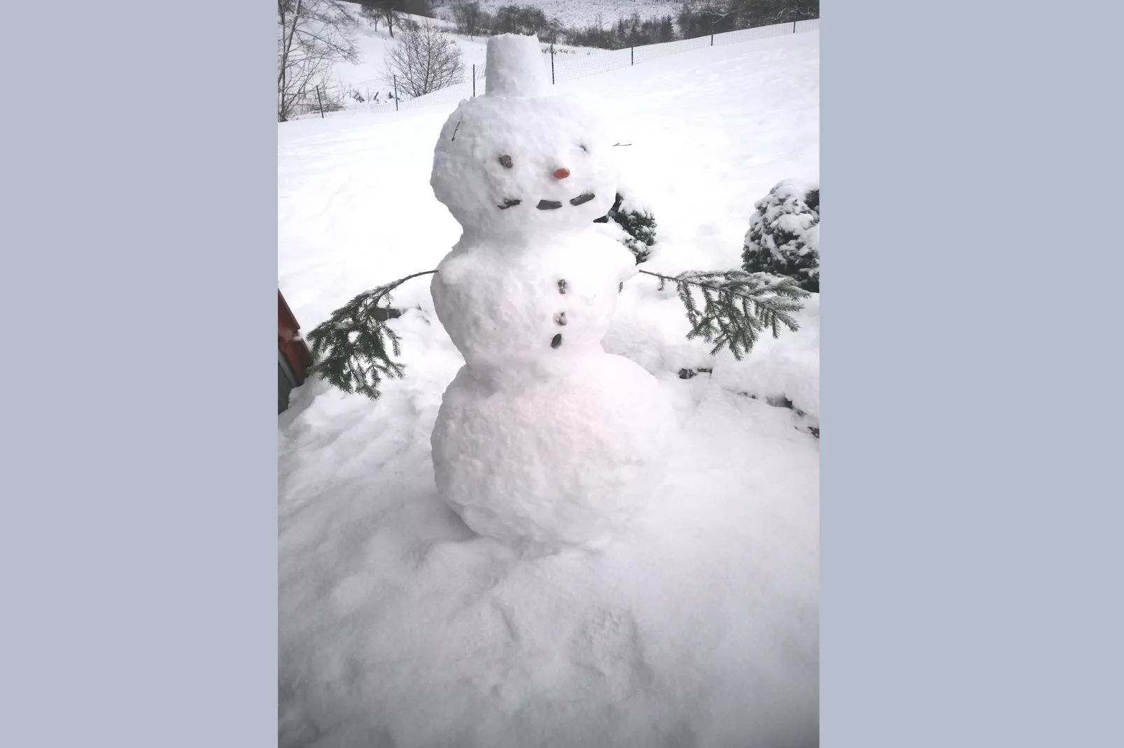 Murmeltier-Garten Winter