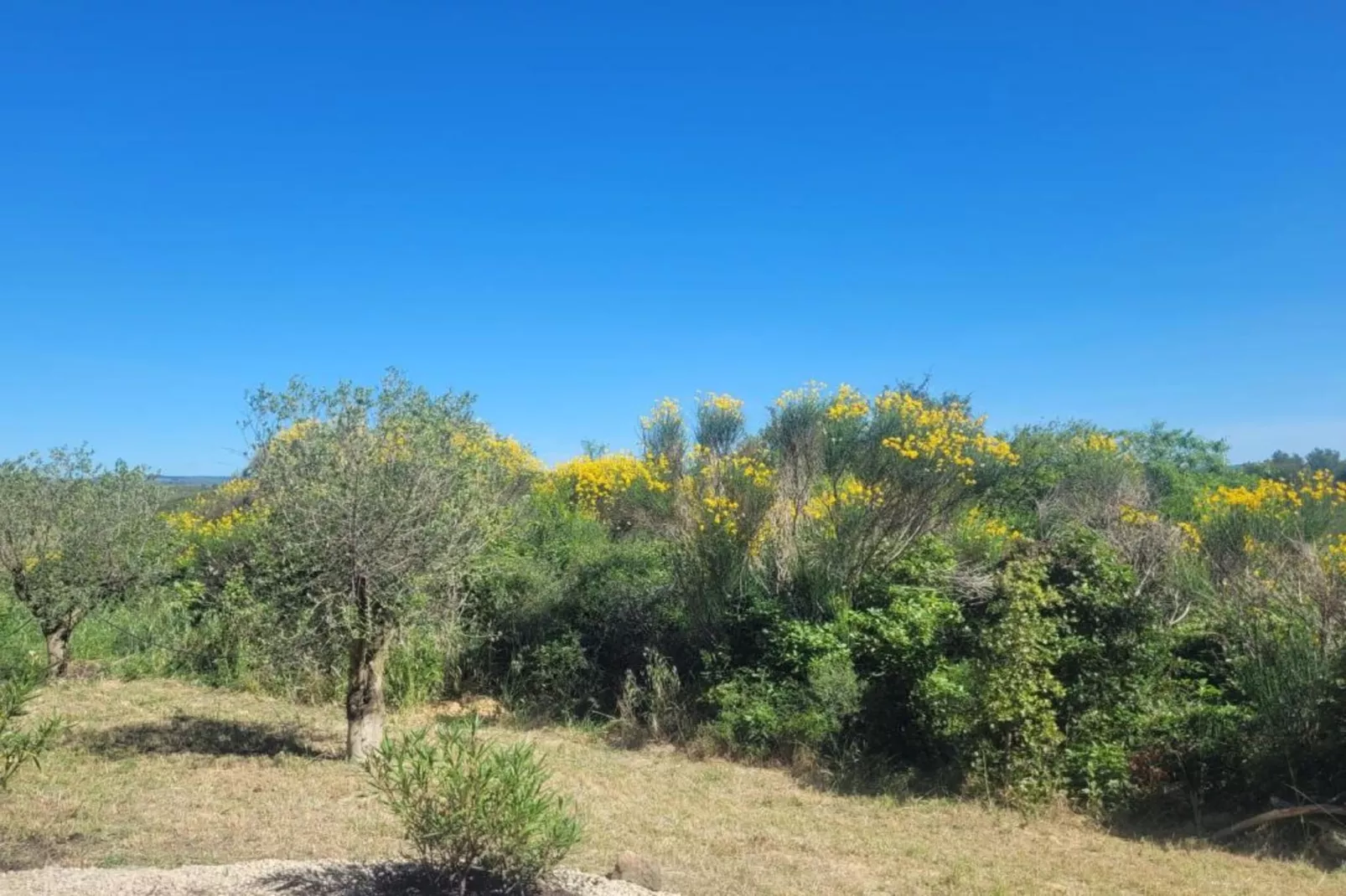 VILLA - FELINES MINERVOIS-Zones été à 5 km