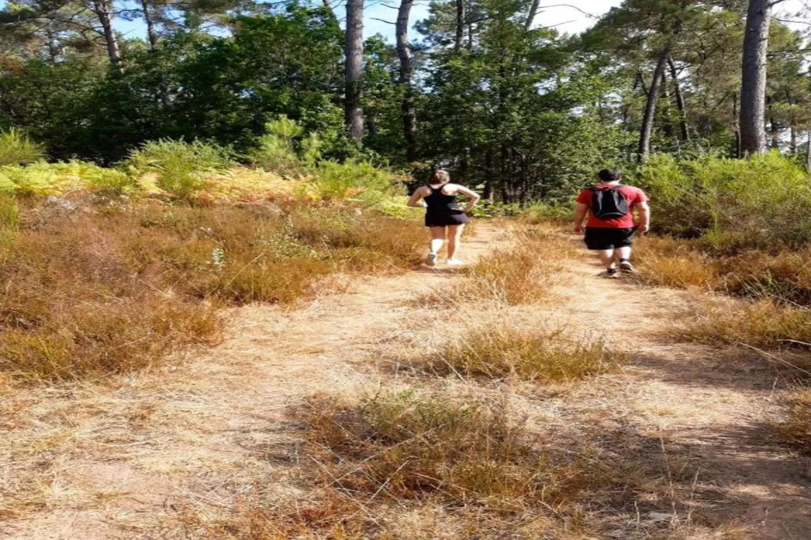 Domaine de Gavaudun - Gite La Chatière-Areas within 5km in summer