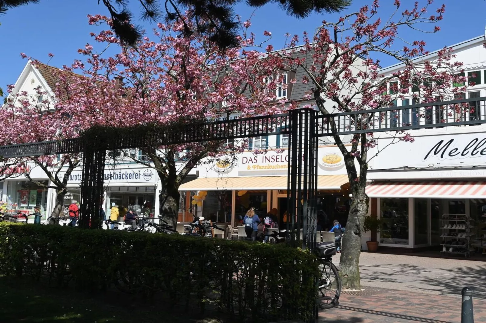 393474-Zones été à 5 km