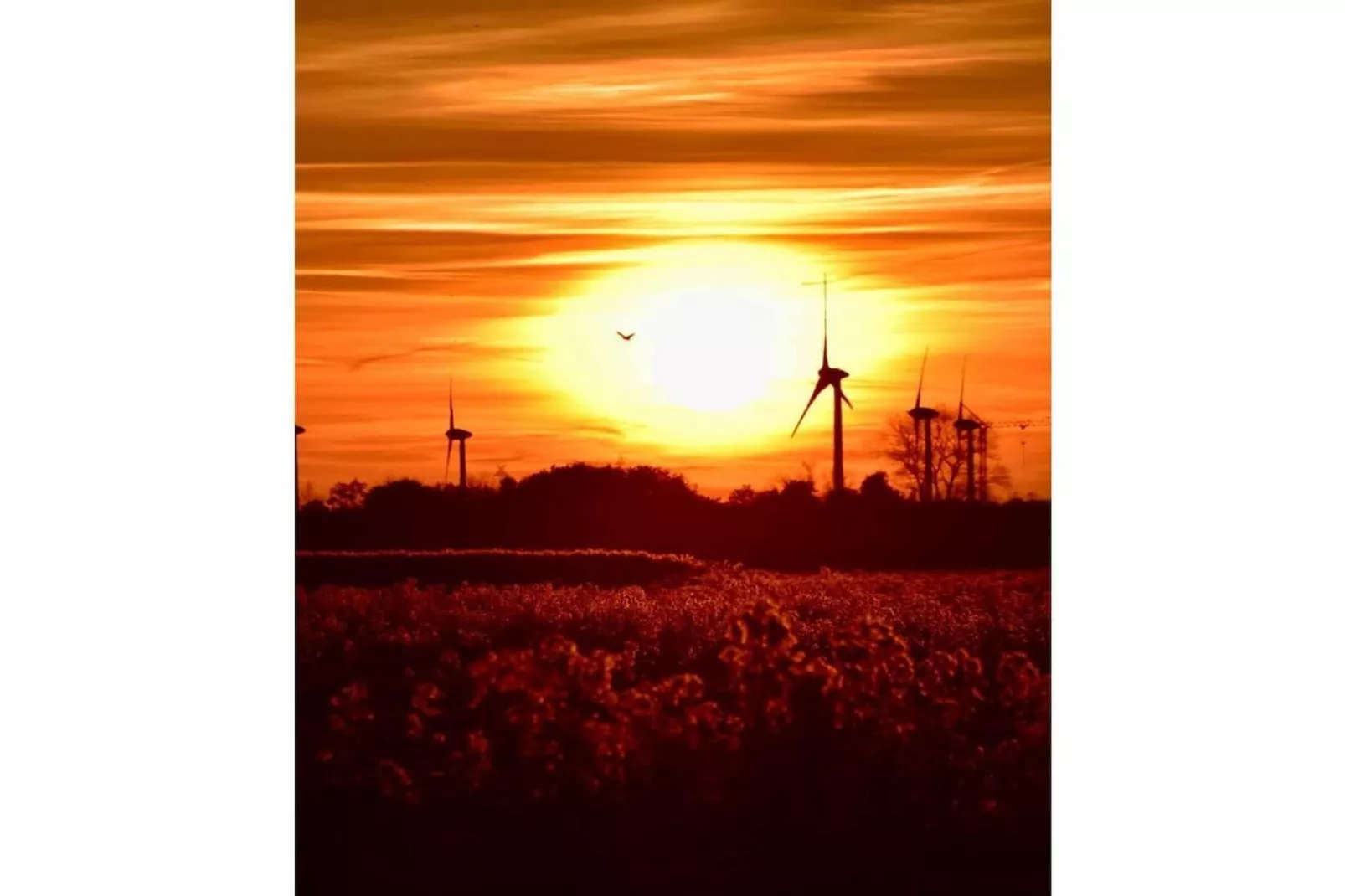 352708-Zones été à 5 km