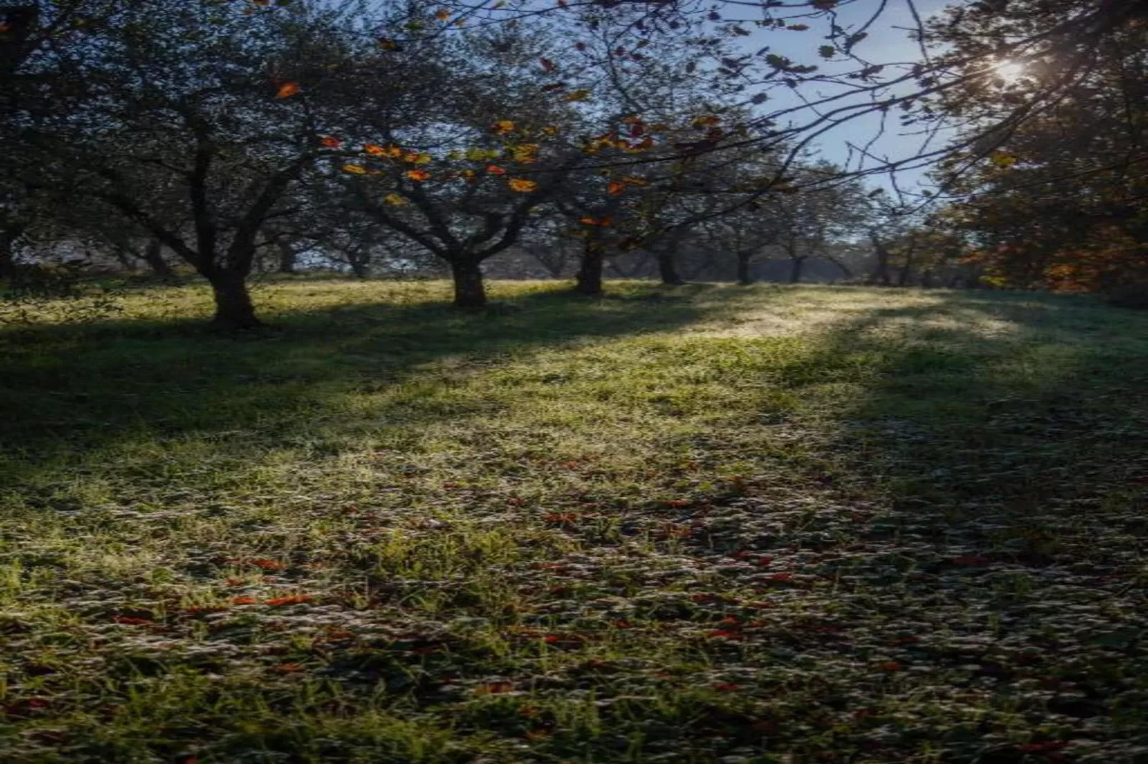 Aria di Lucca-Gebiete Sommer 20 km