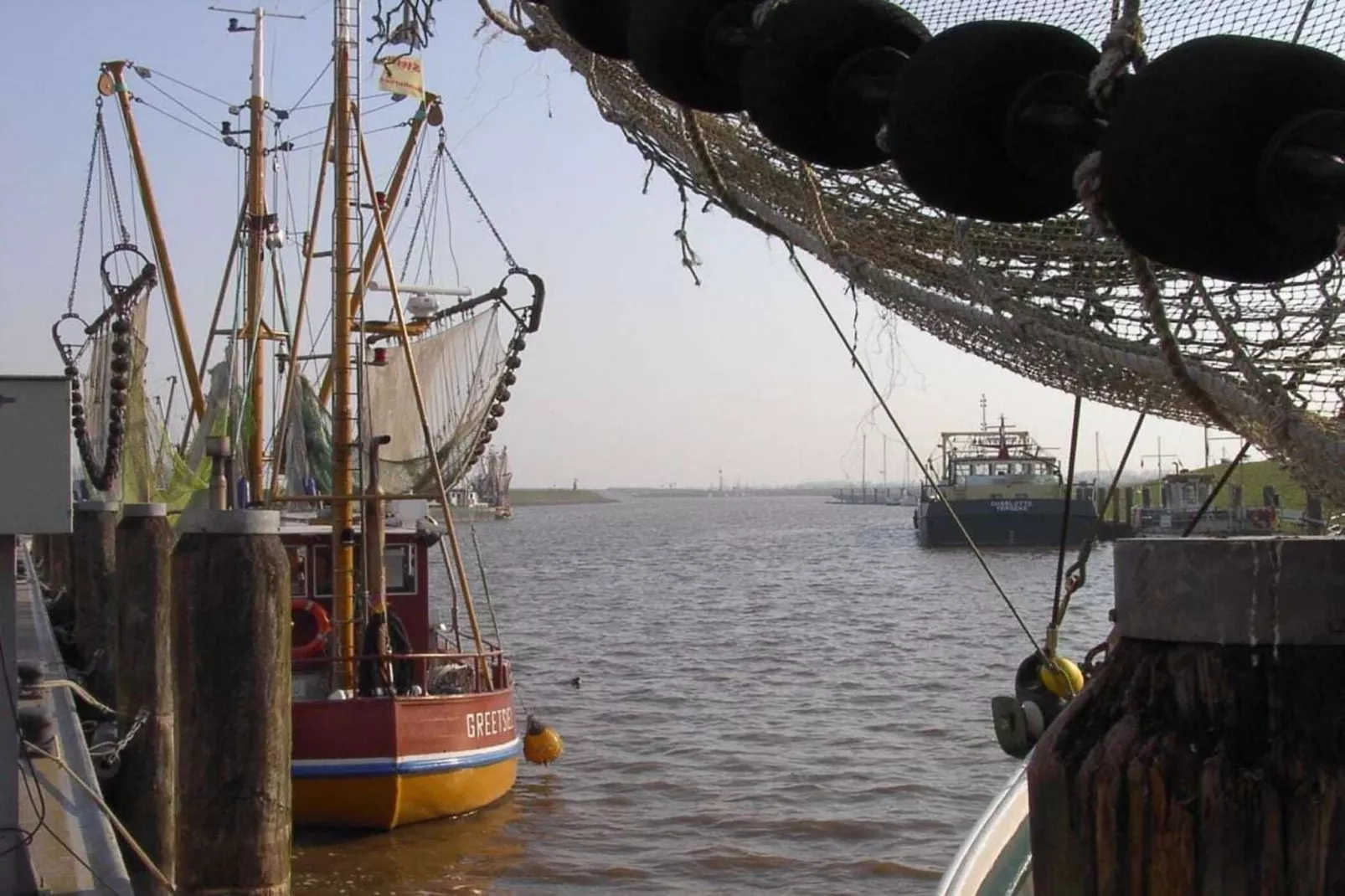 47531-Areas within 5km in summer