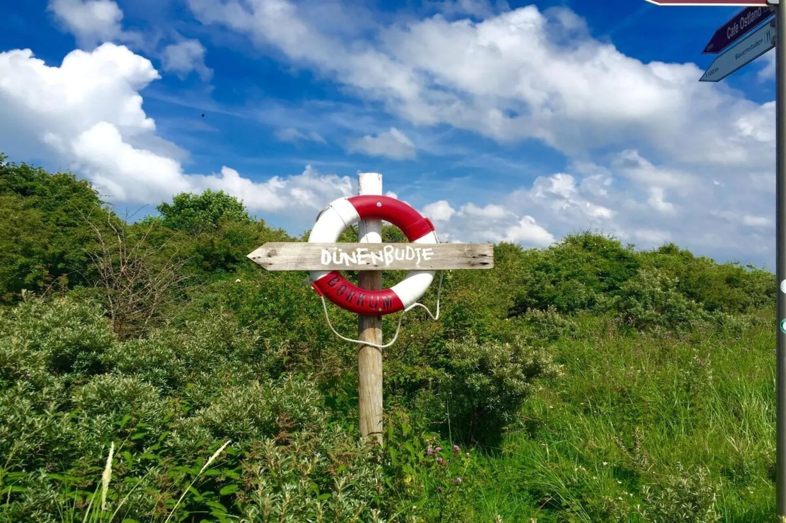 287711 - Zones été à 5 km