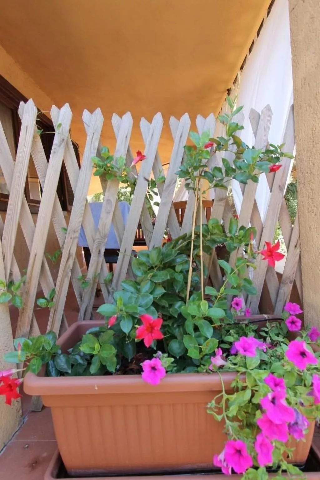 Wohnung 'Rosa 3' mit Terrasse-Dehors