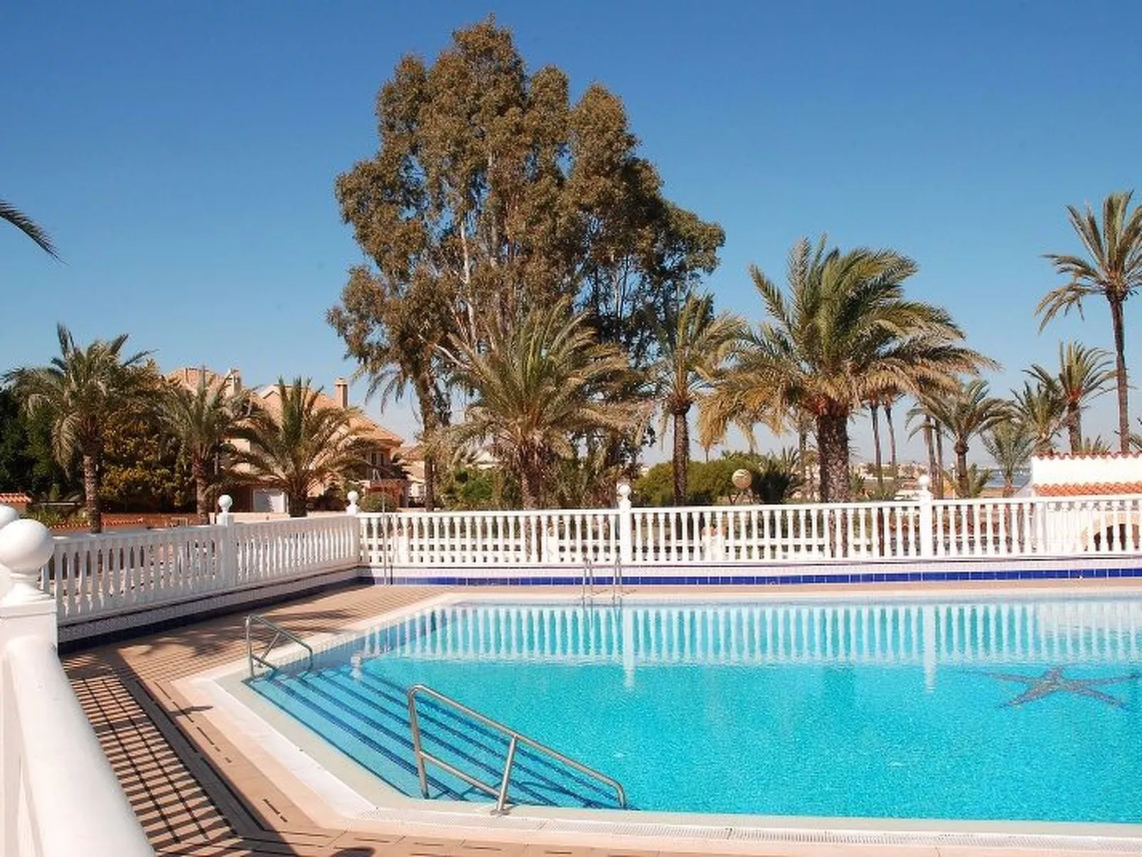 PALMERA 40-Image-tags.info