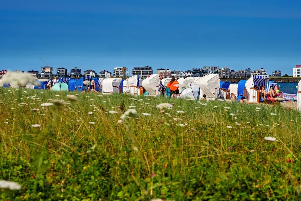 751239-Nicht zugeordnet