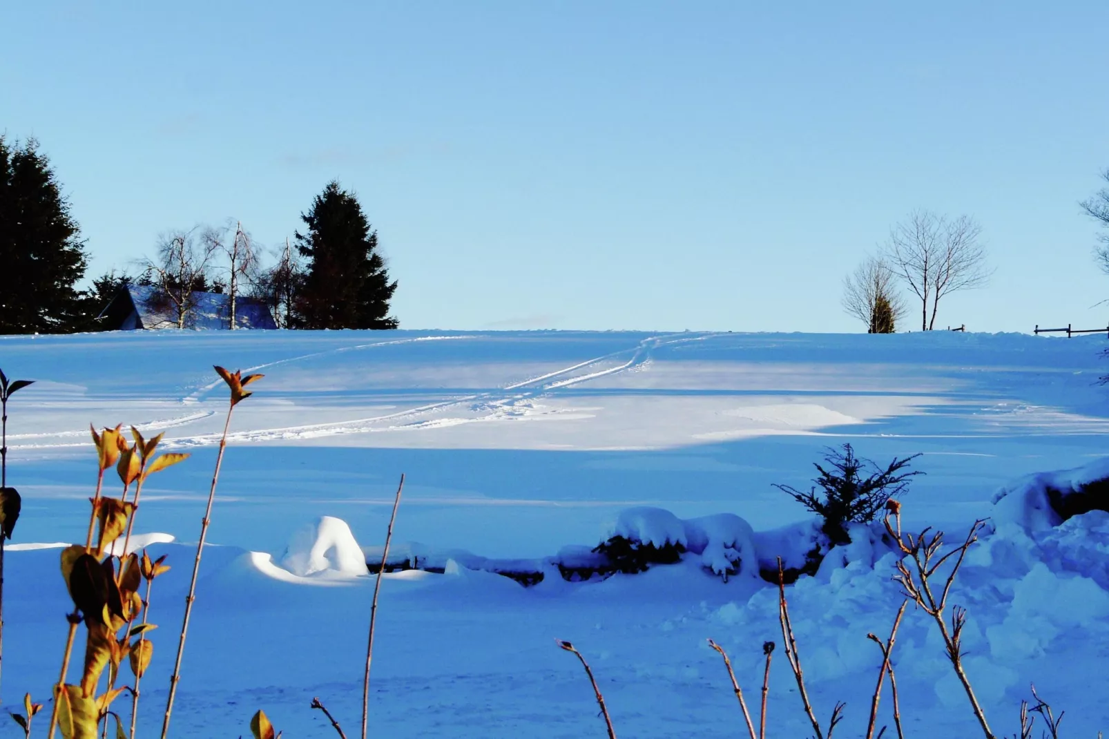 Casa Brocktega in Bestwig - Area within 20km in winter