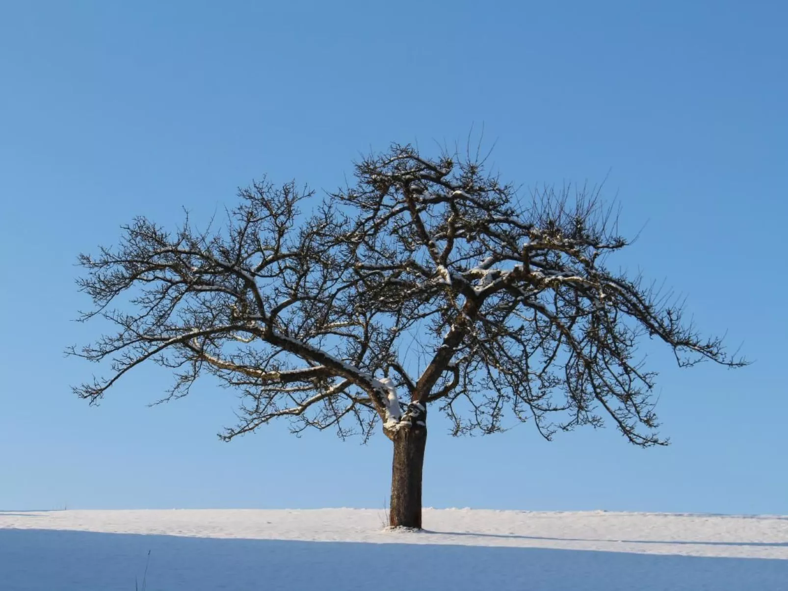 Jägerhaus - Image-tags.info