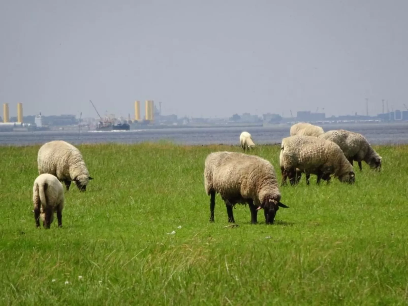 Haus Stella Maris mit Bootssteg - All Inklusive - Image-tags.info