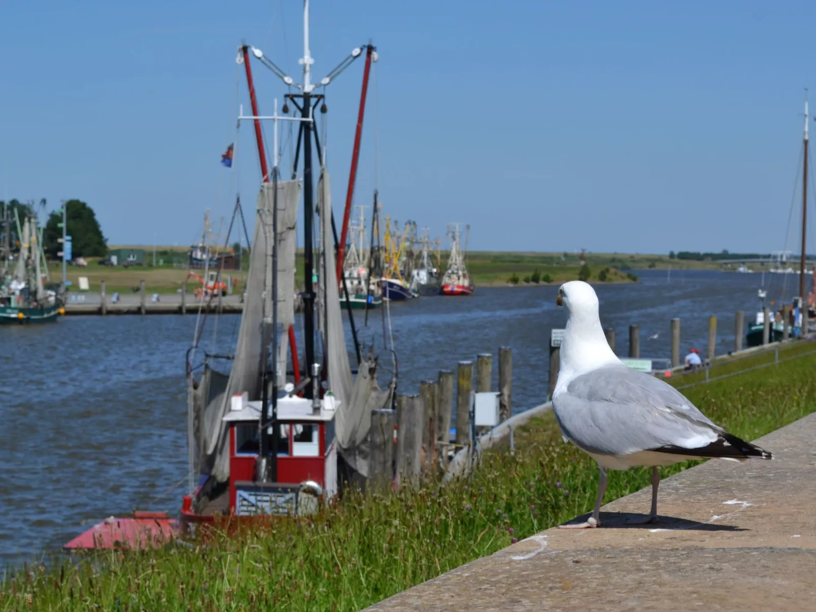 Landgut mit Dachterrasse - Outside