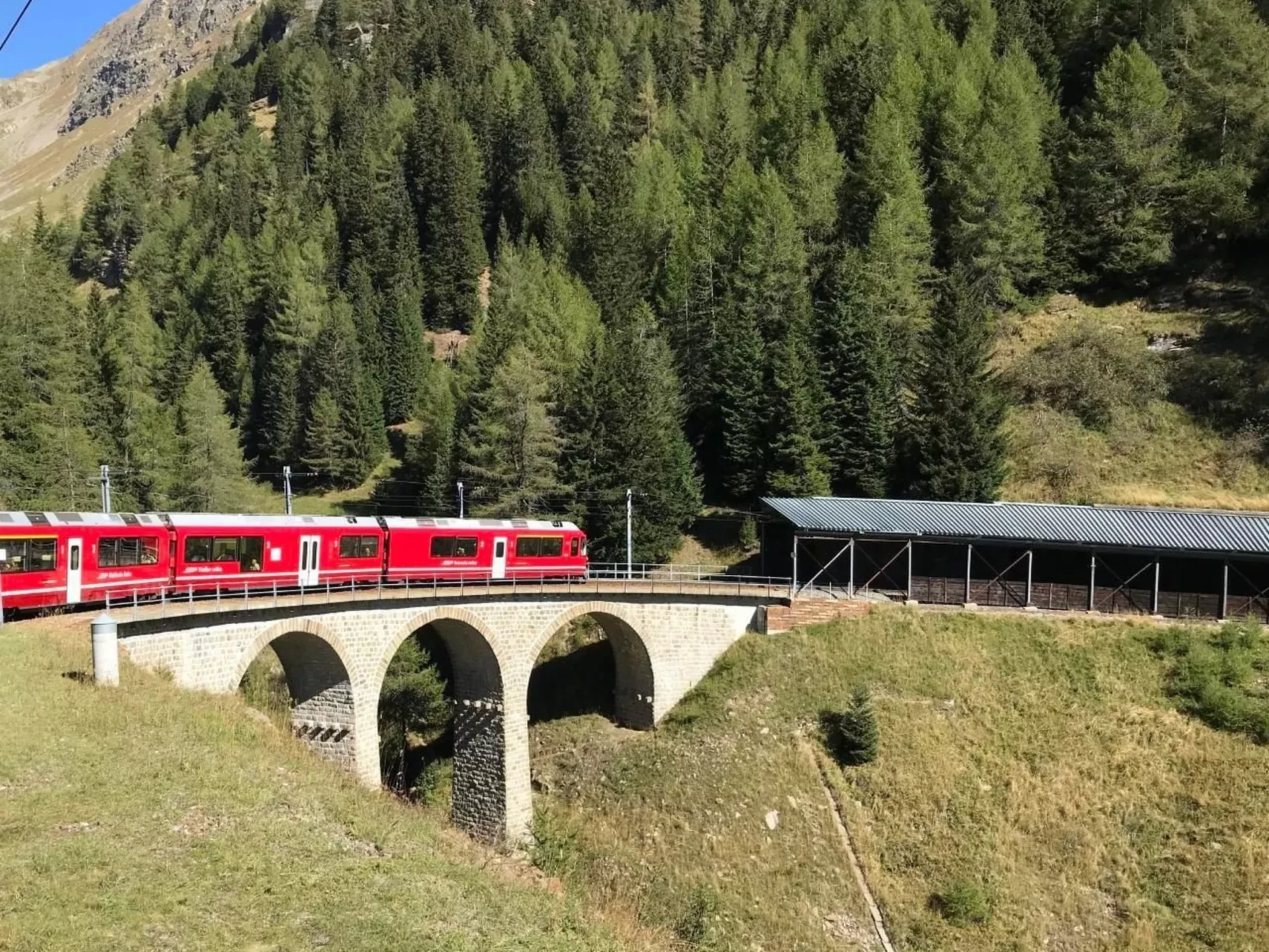 Derby 11 - Image-tags.info