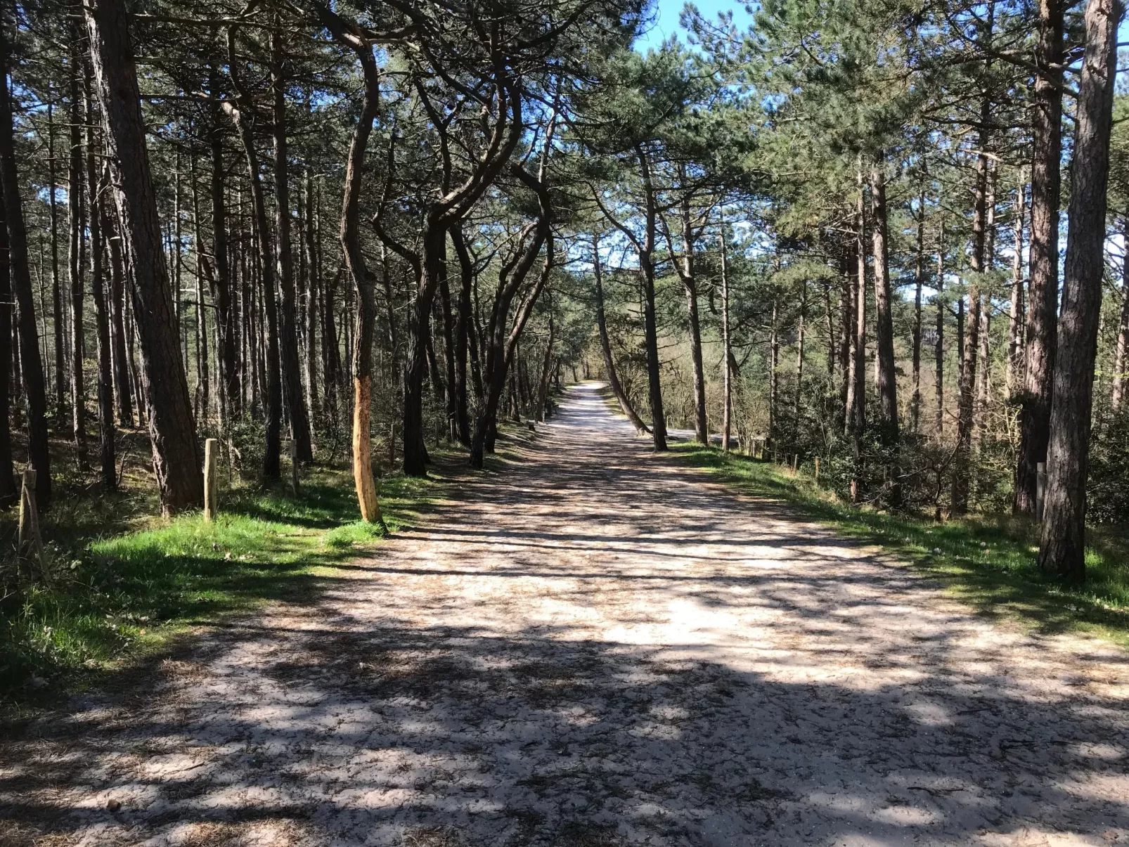 Rekerlanden 202 - Image-tags.info