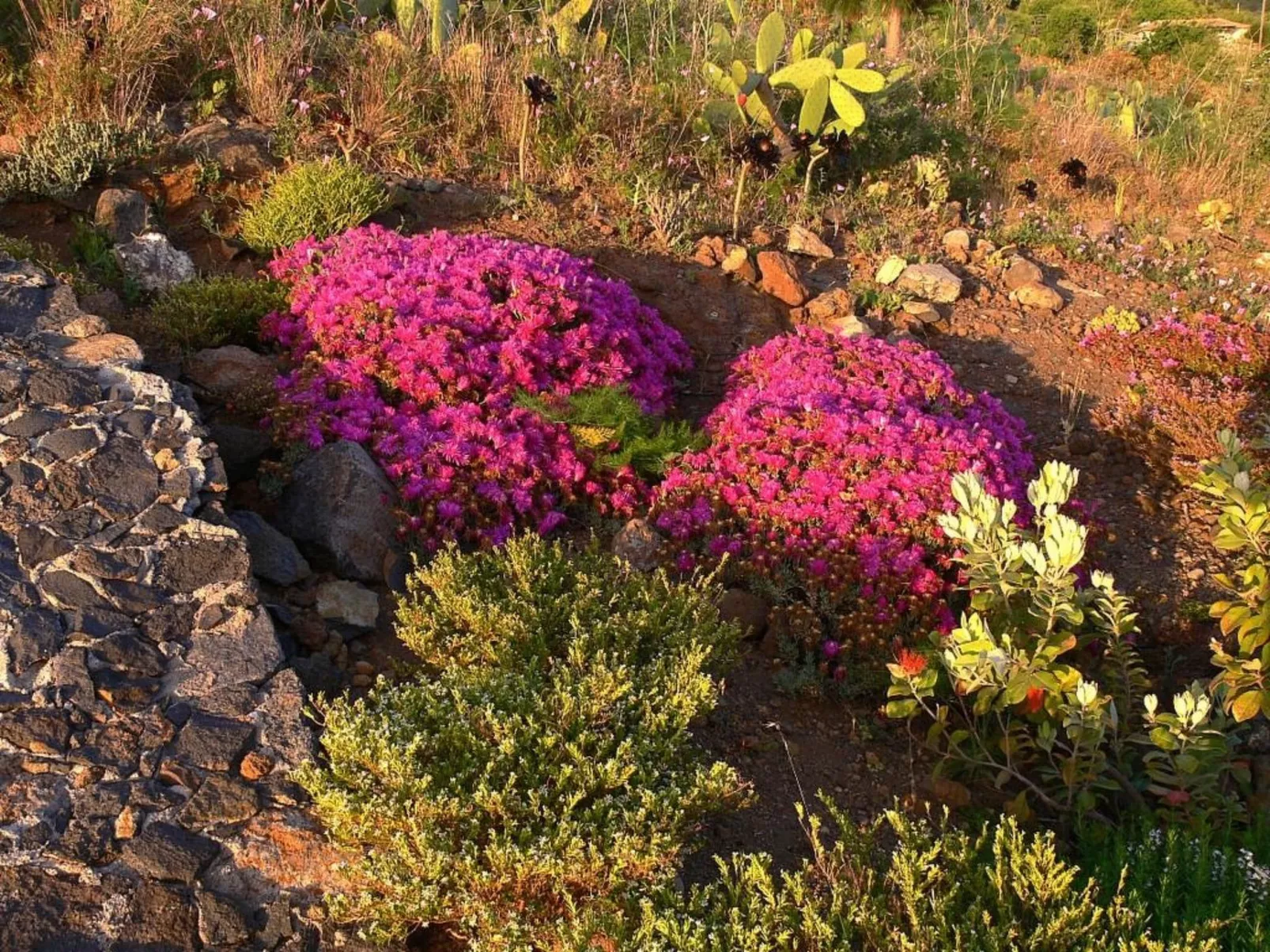 Nettes Ferienhaus in Tijarafe mit Privatem Pool und Panoramablick - Image-tags.info