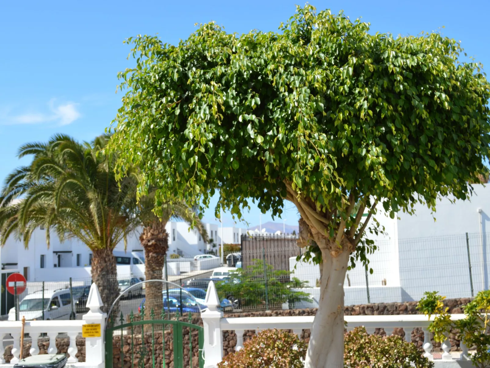 Für 5 Personen ca. 65 m&sup2; in Puerto del Carmen, Lanzarote (Südküste von Lan - Image-tags.info